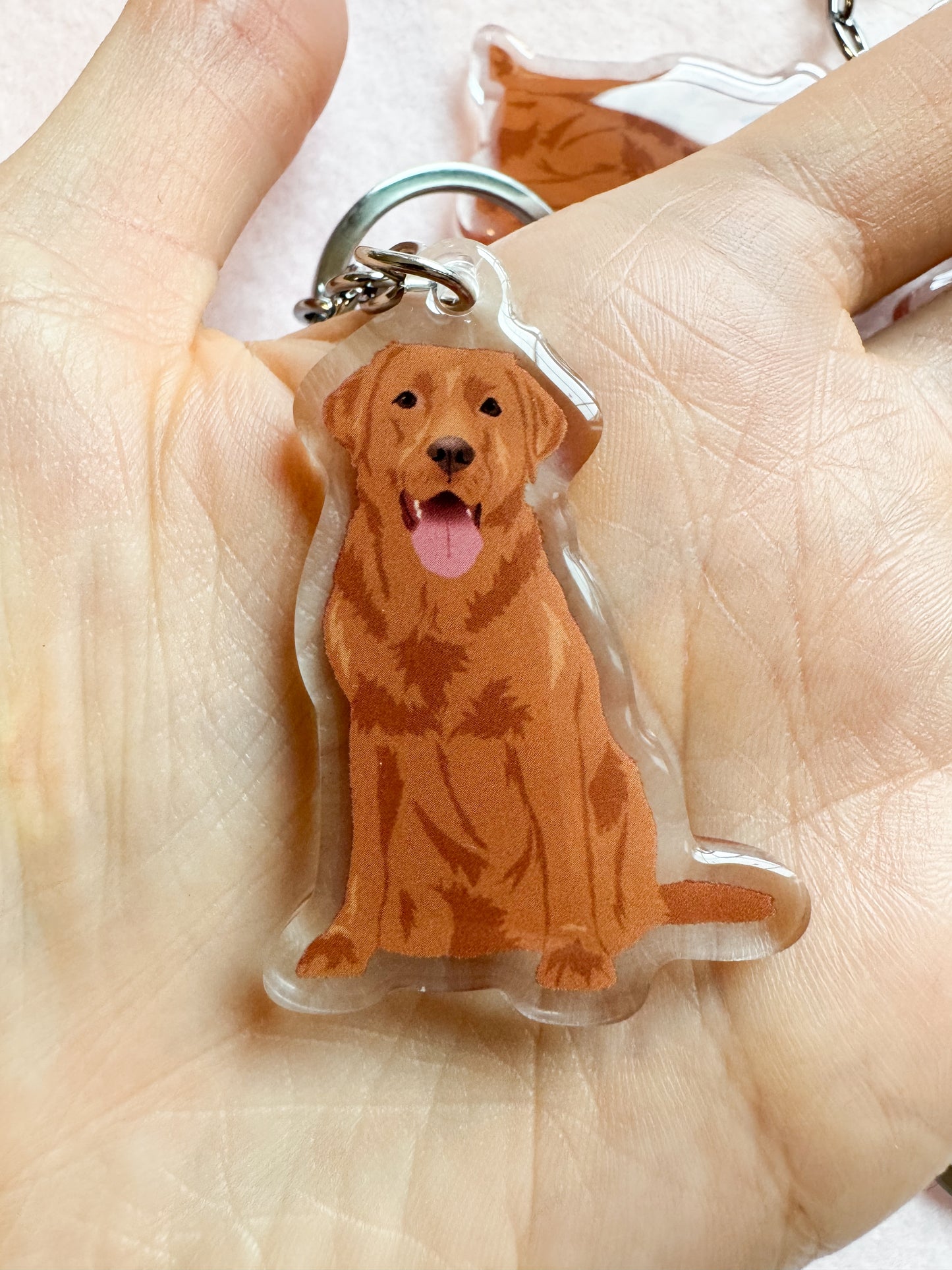 Labrador Retriever (red fox) Keychain
