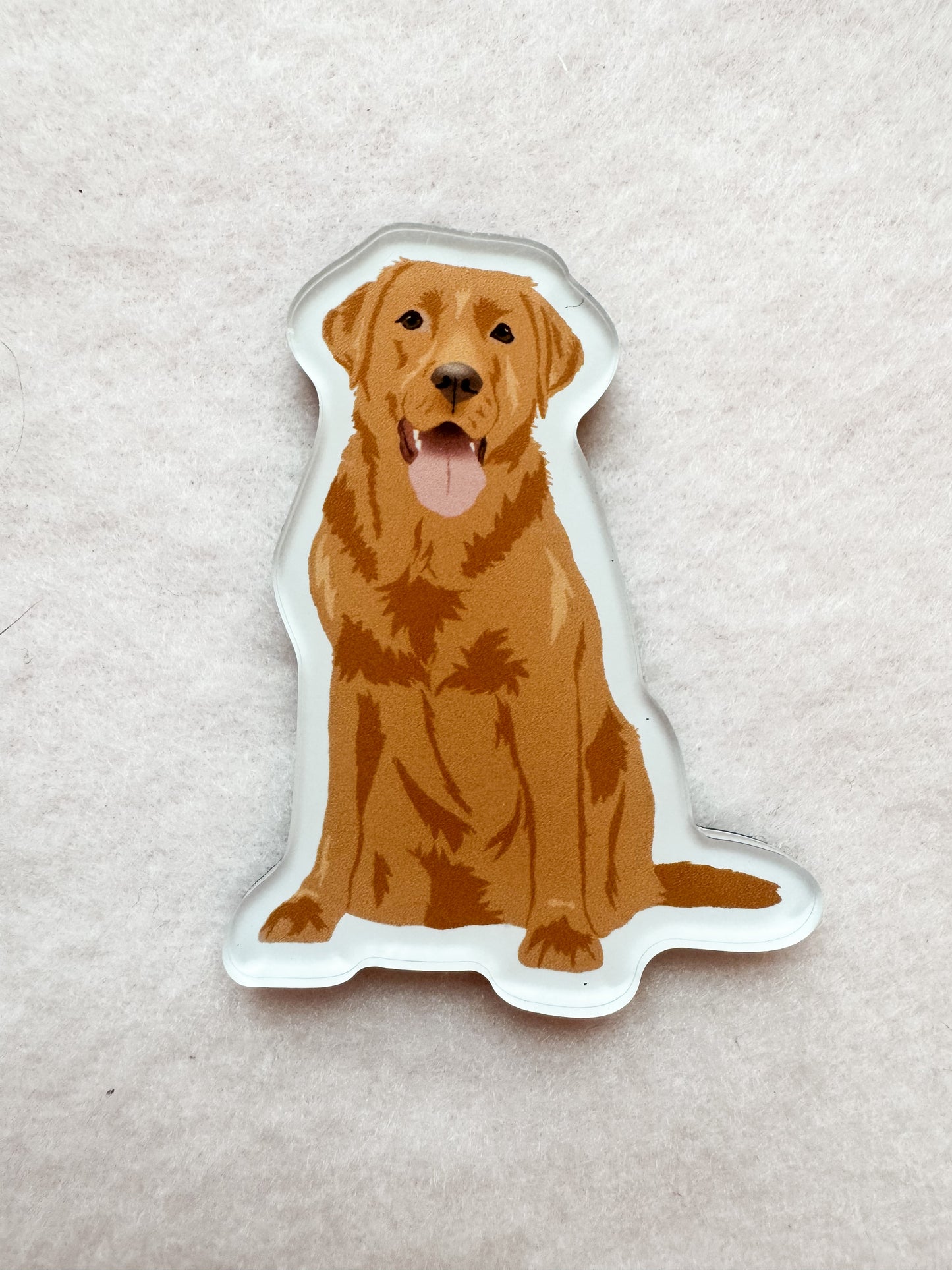 Labrador Retriever (red fox) Magnet
