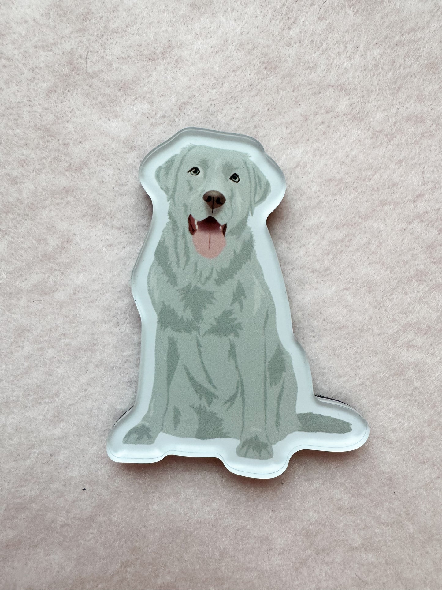 Labrador Retriever (silver), Blue Lacy Magnet