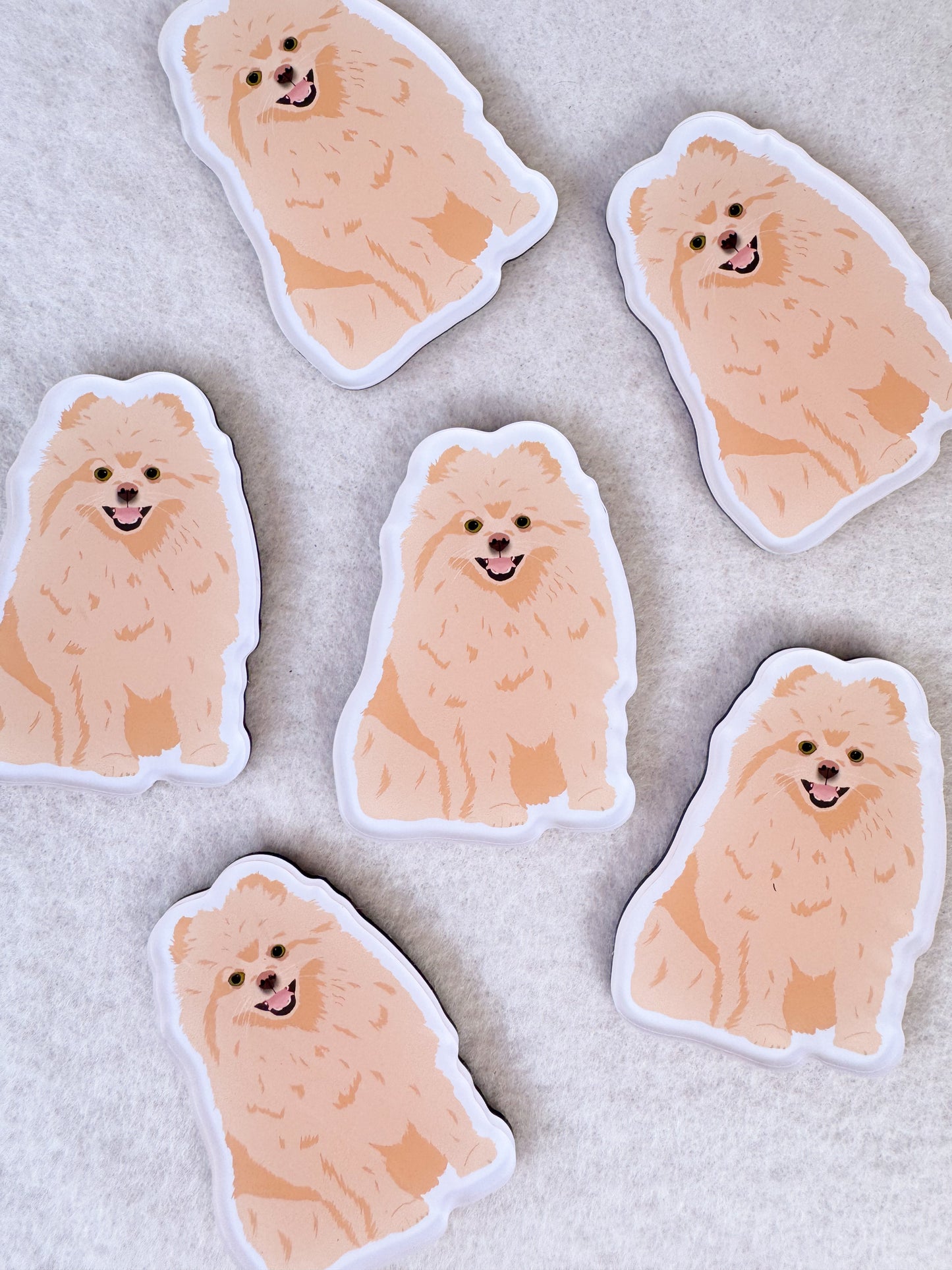 Pomeranian (blonde) Magnet