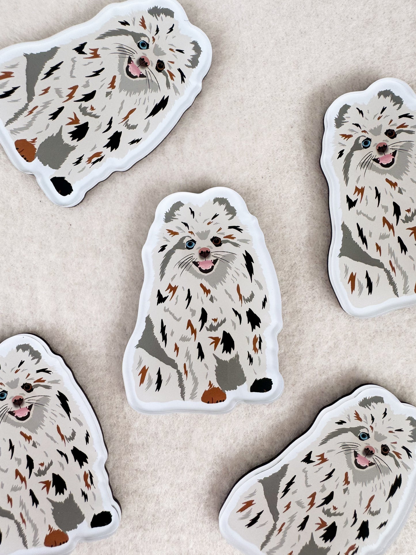 Pomeranian (Merle) Magnet