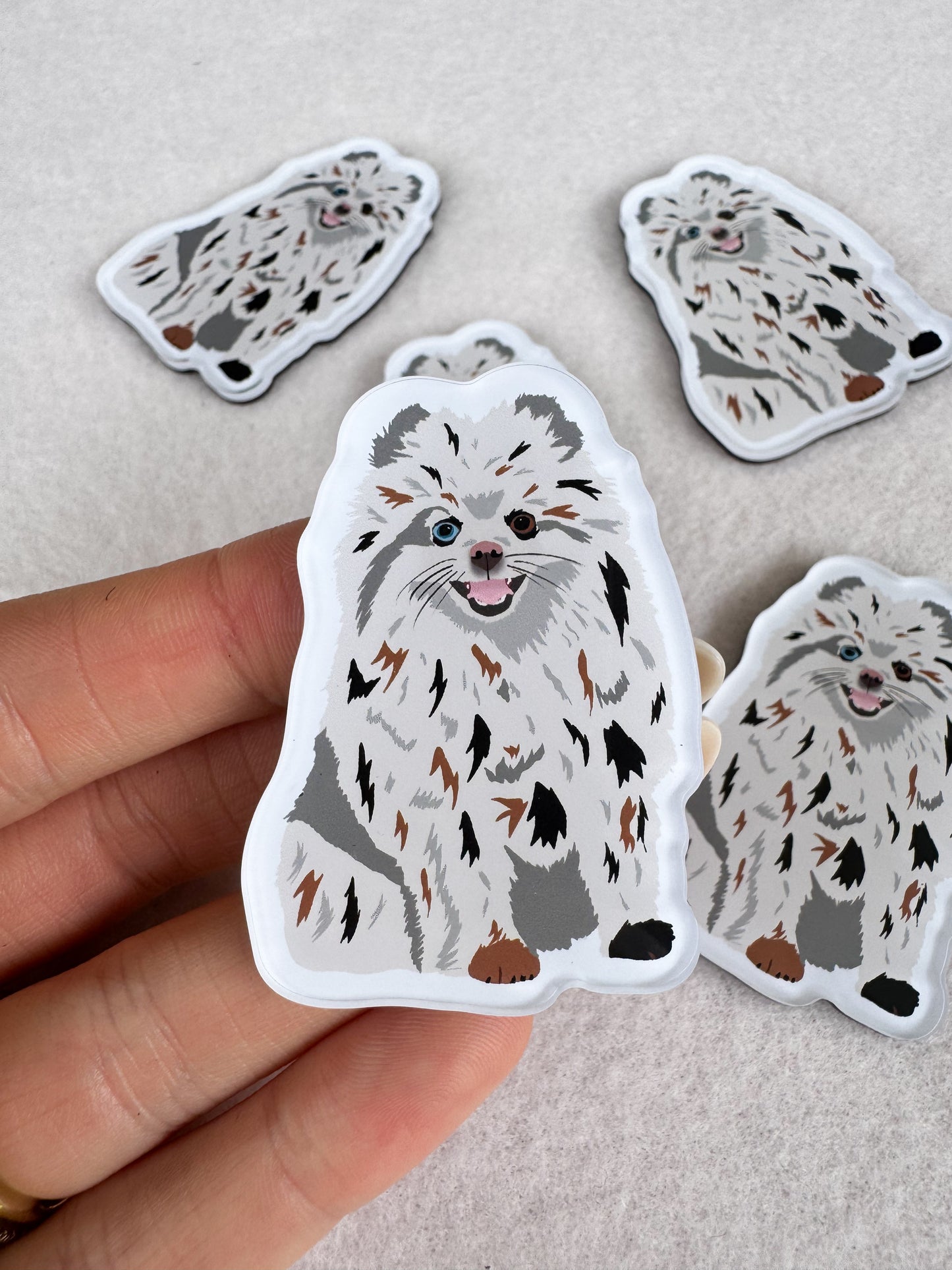 Pomeranian (Merle) Magnet