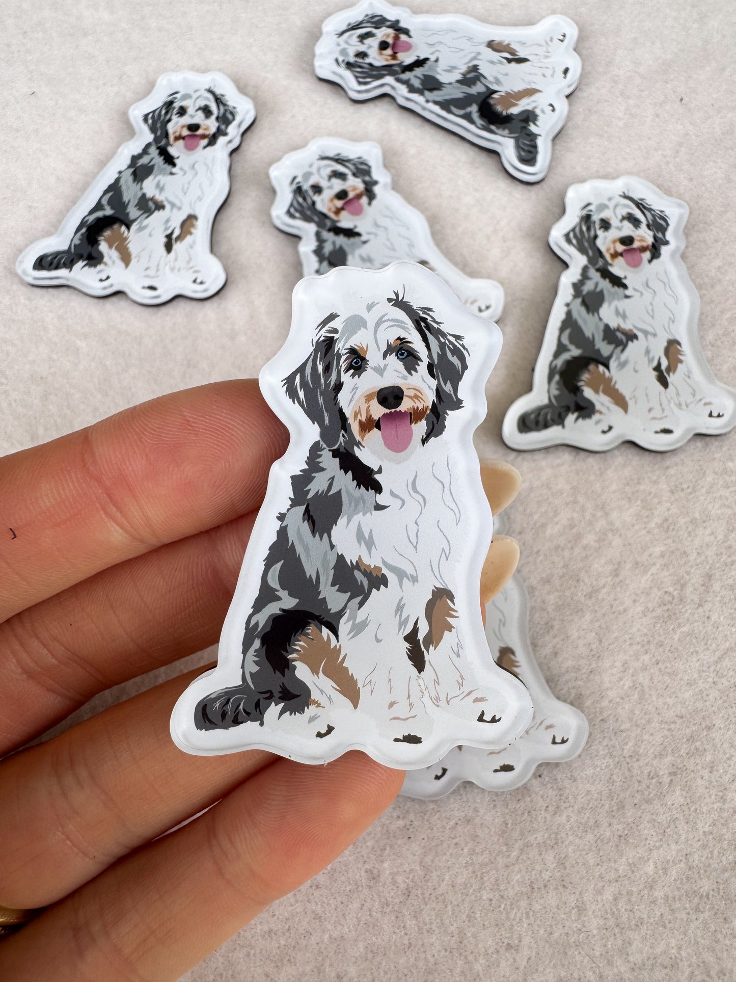 Aussiedoodle Magnet