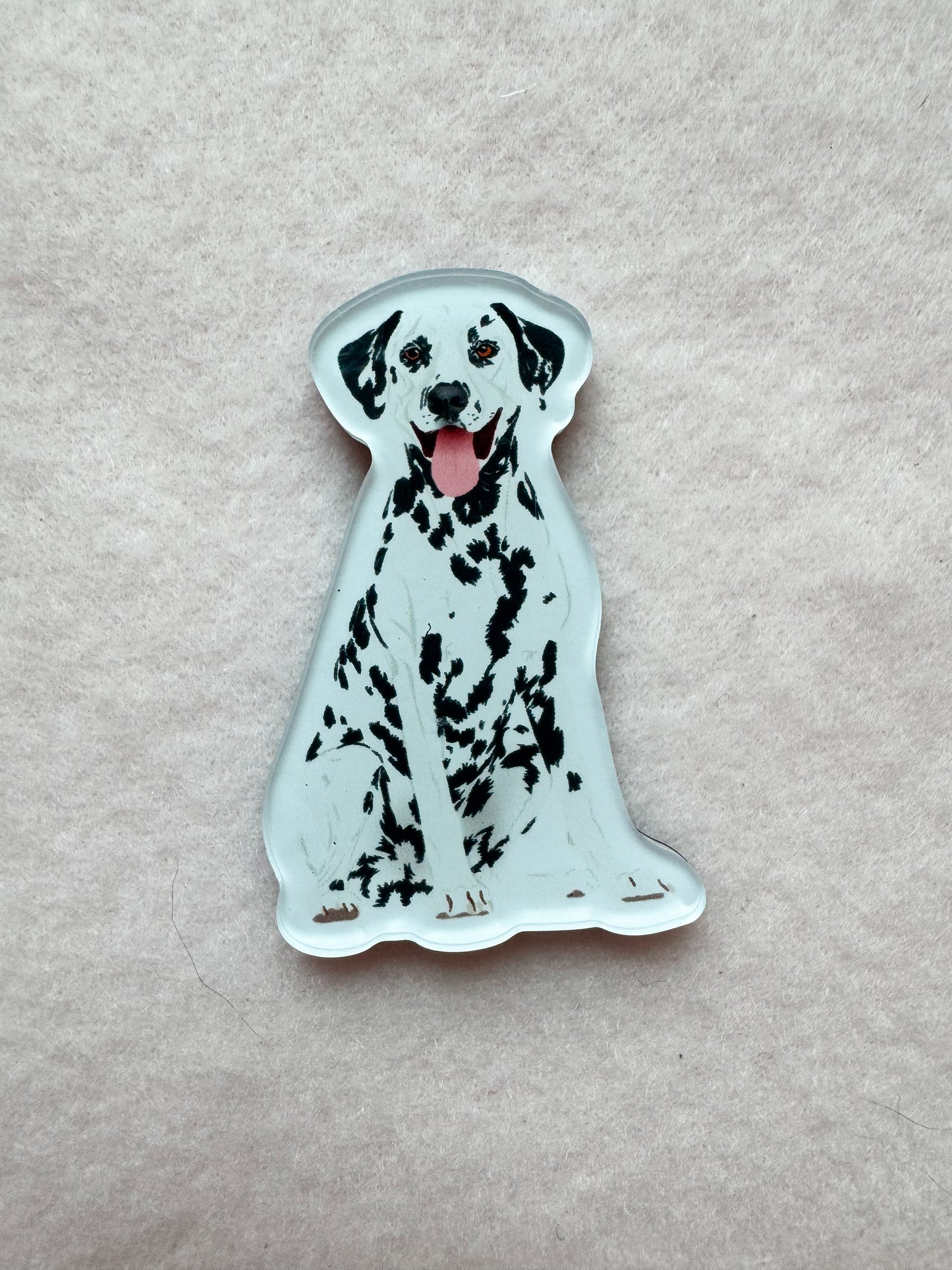 Dalmatian Magnet