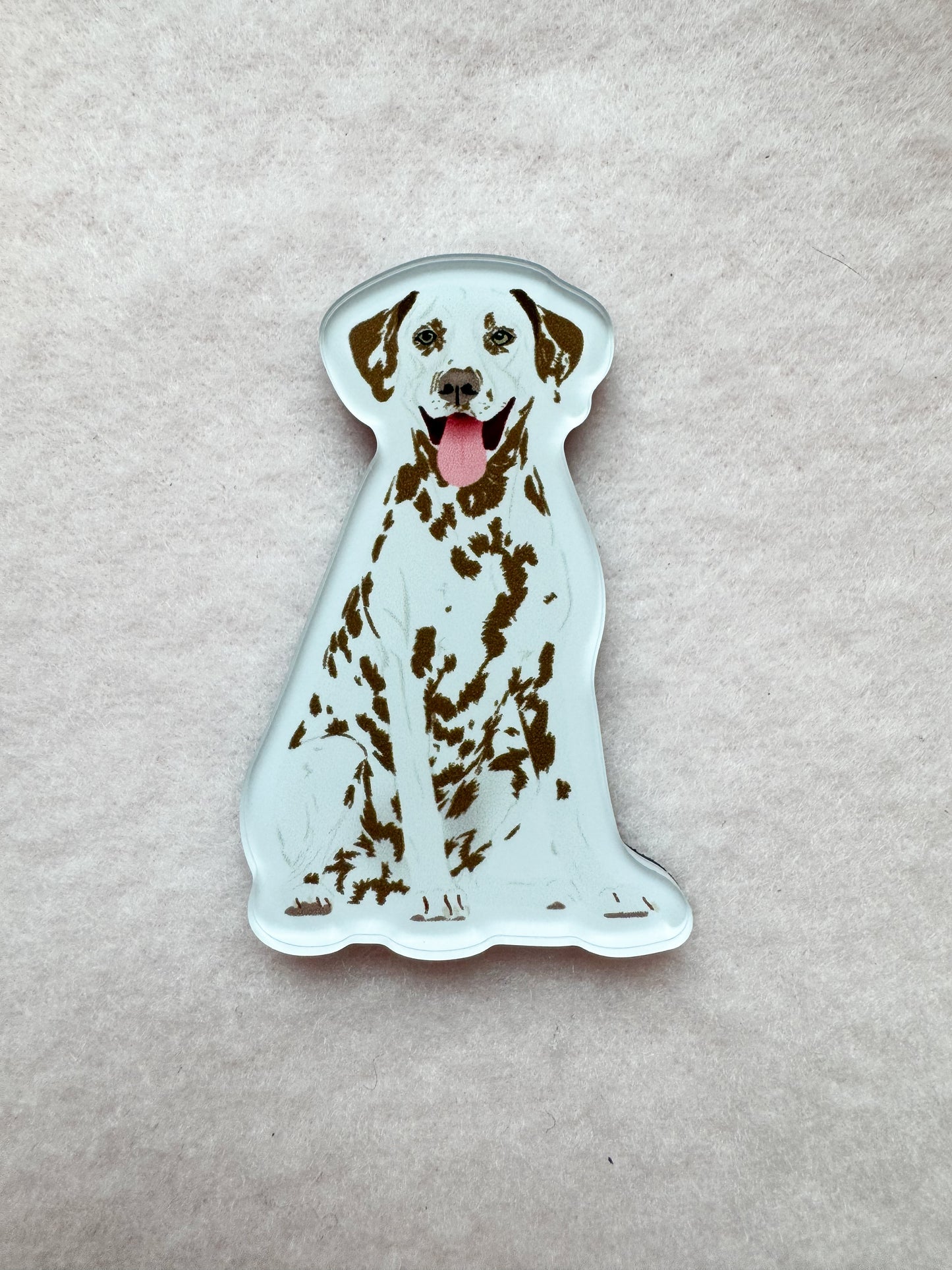 Dalmatian (liver) Magnet