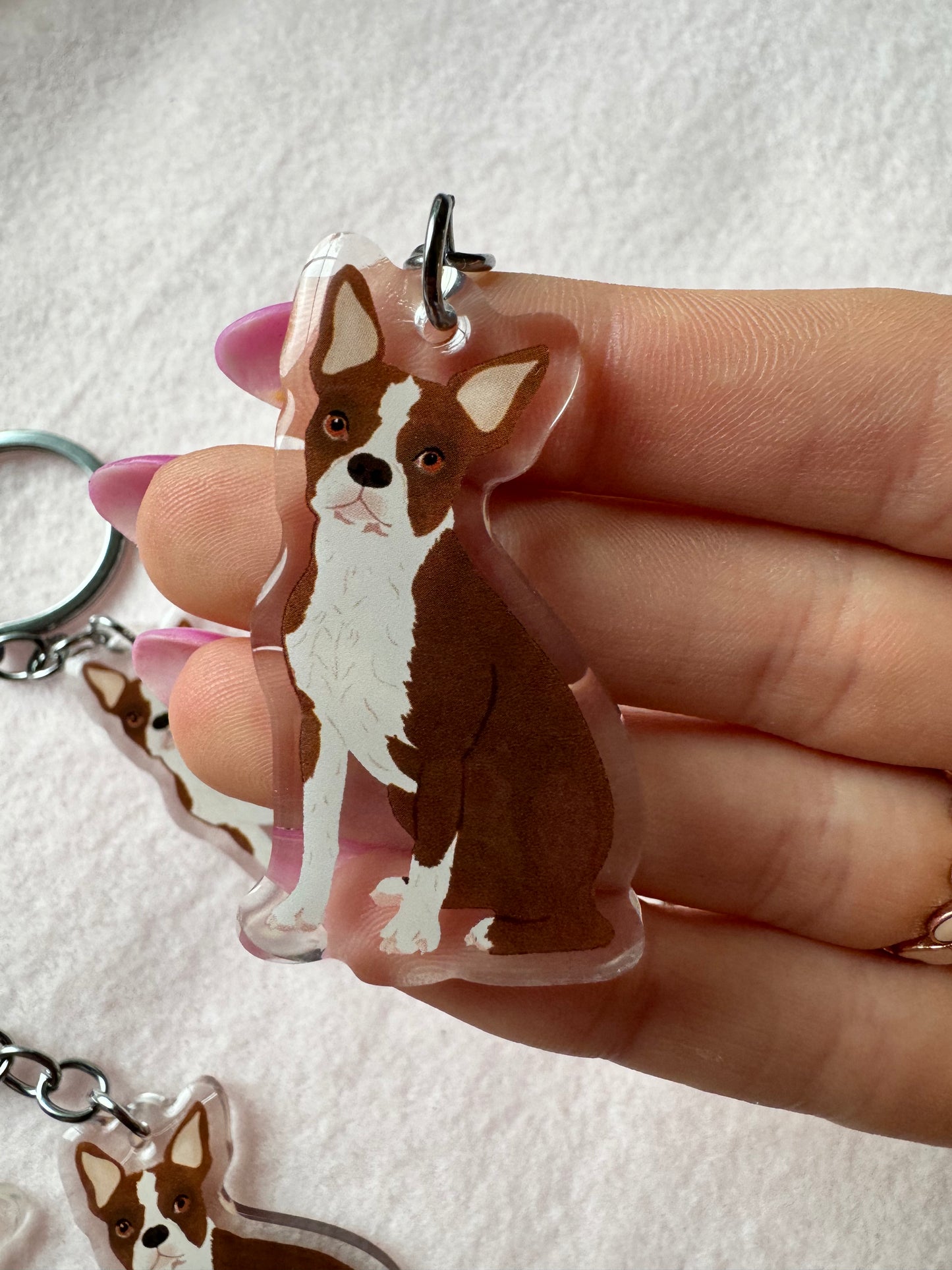 Boston Terrier (brown & white) Keychain