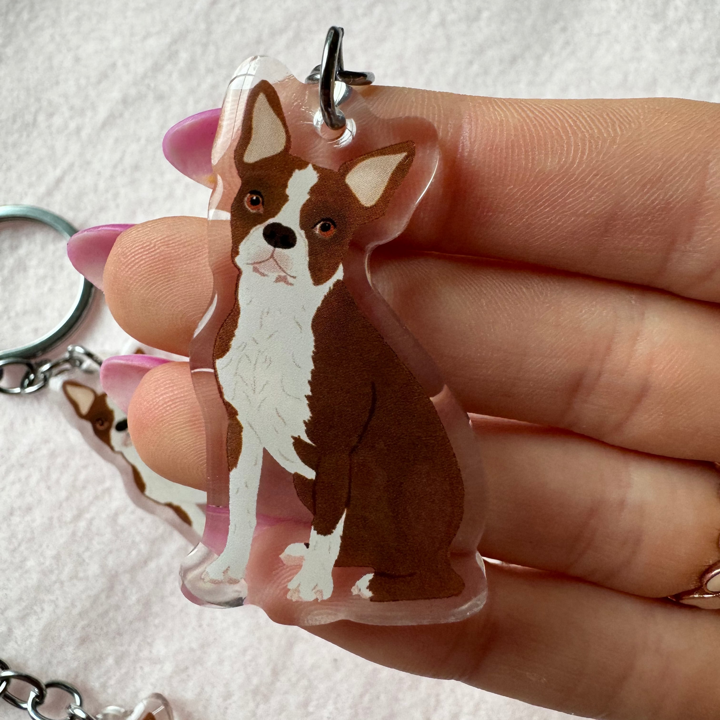 Boston Terrier (brown & white) Keychain