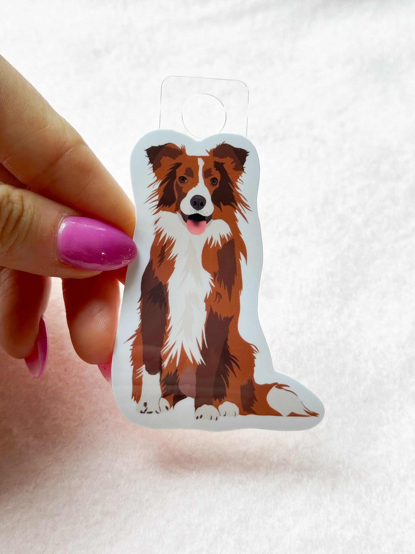 Border Collie (brown tri-color) Sticker