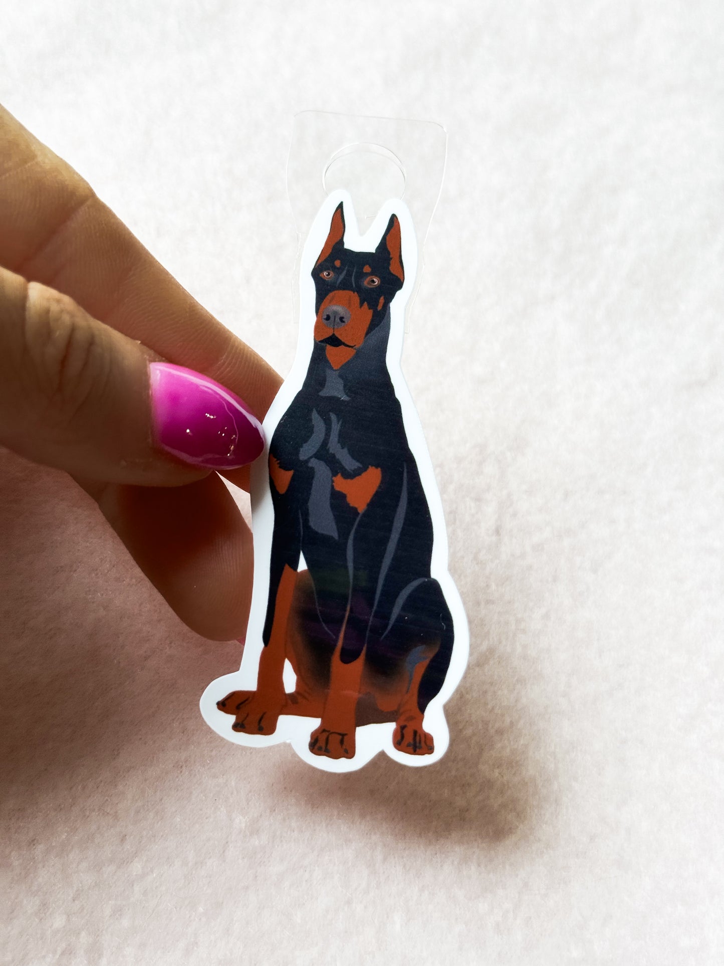 Dobermann (black & rust/cropped ears) Sticker