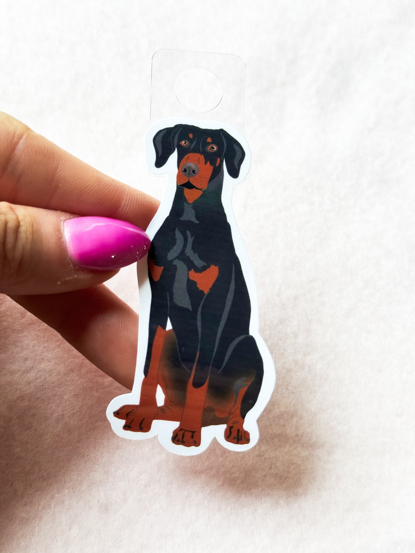 Dobermann (black & rust/natural ears) Sticker