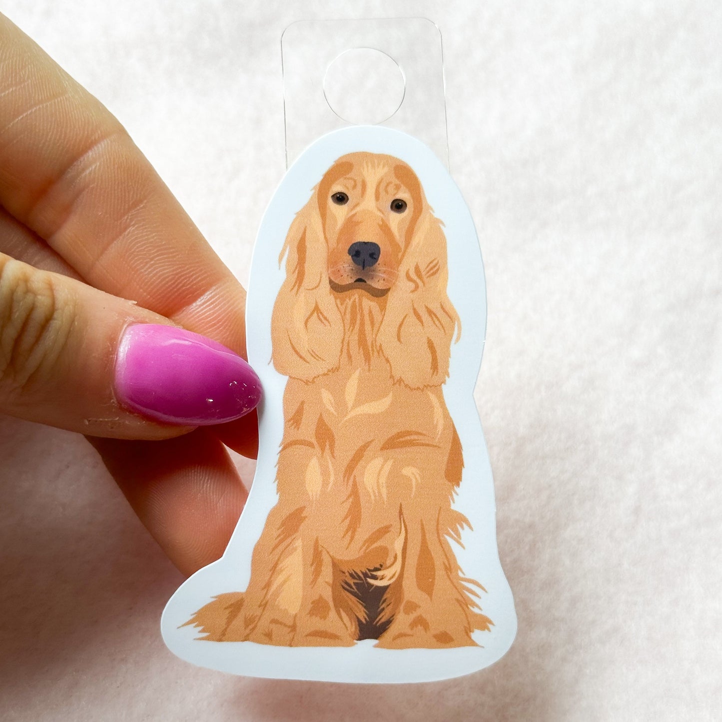 English Cocker Spaniel (blonde) Sticker
