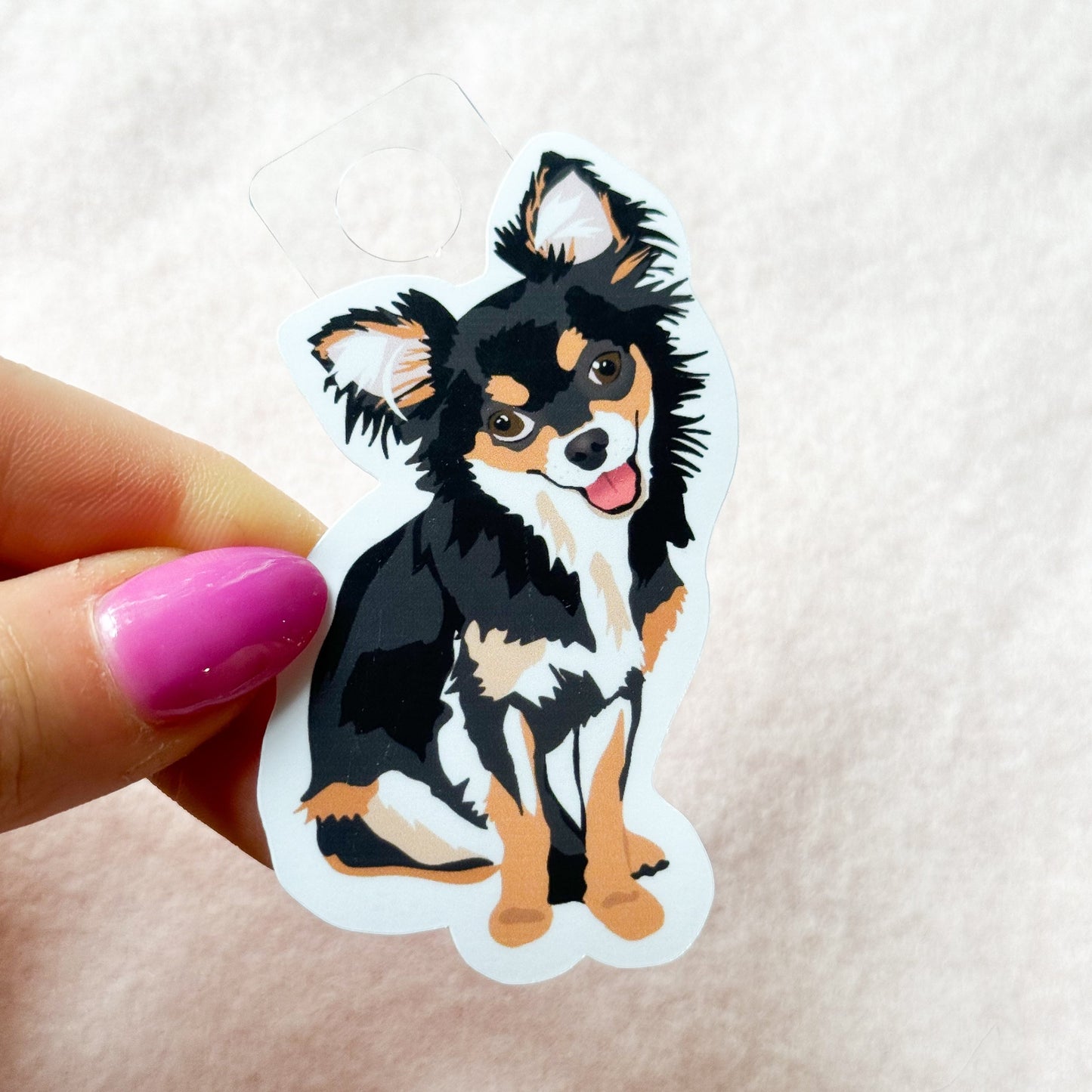 Chihuahua (long haired tri colored) Sticker