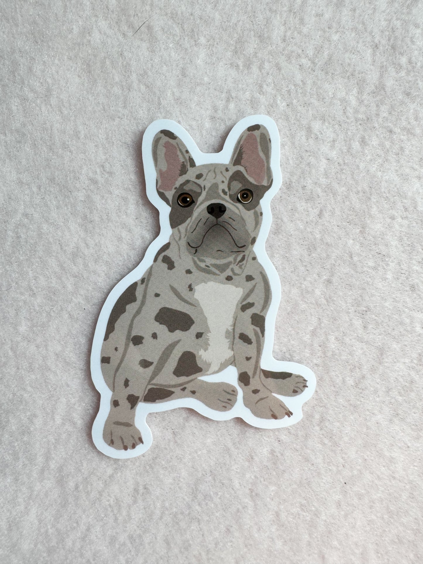 Frenchie (blue merle) Sticker