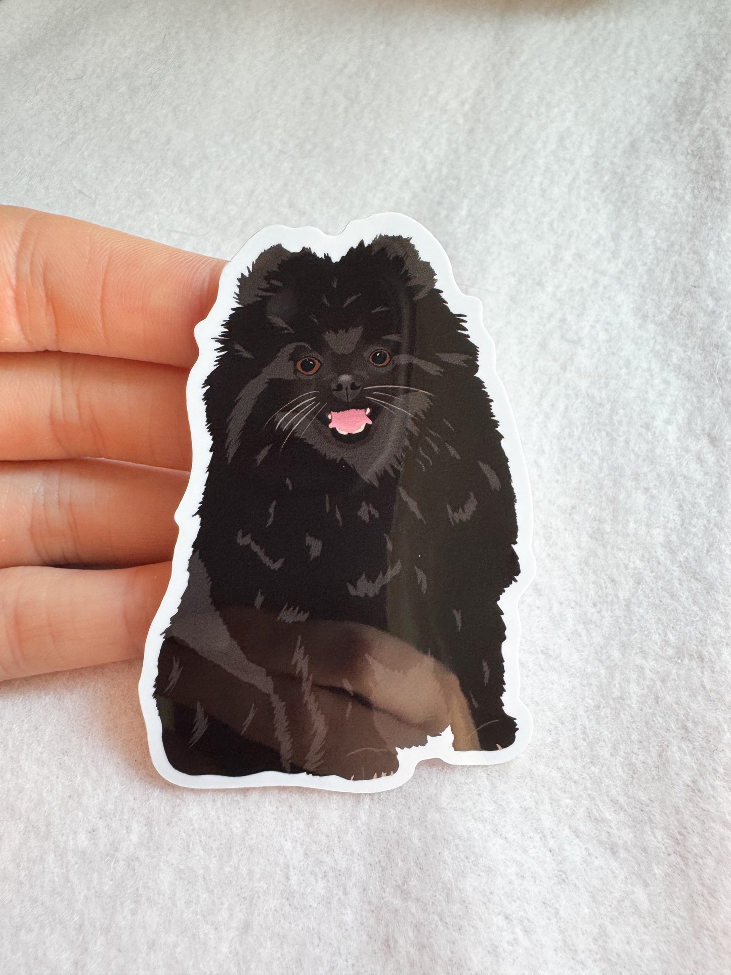 Pomeranian (black) Sticker