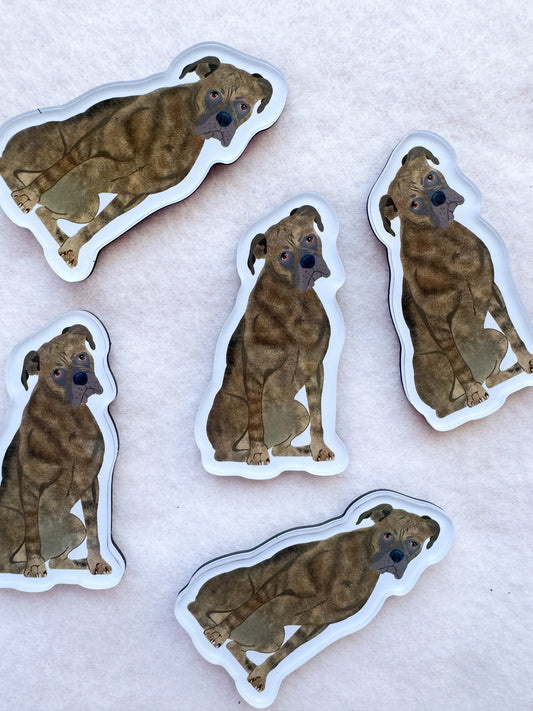 Boxer (brindle) Magnet