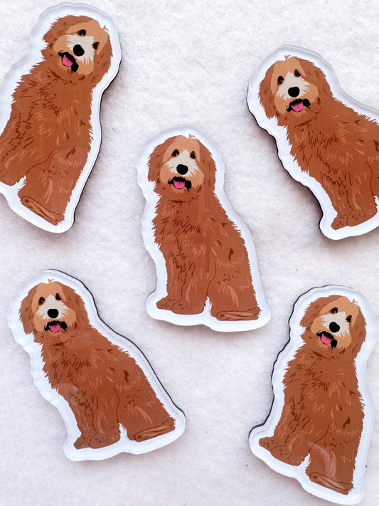 Goldendoodle (red), Labradoodle (red) Magnet