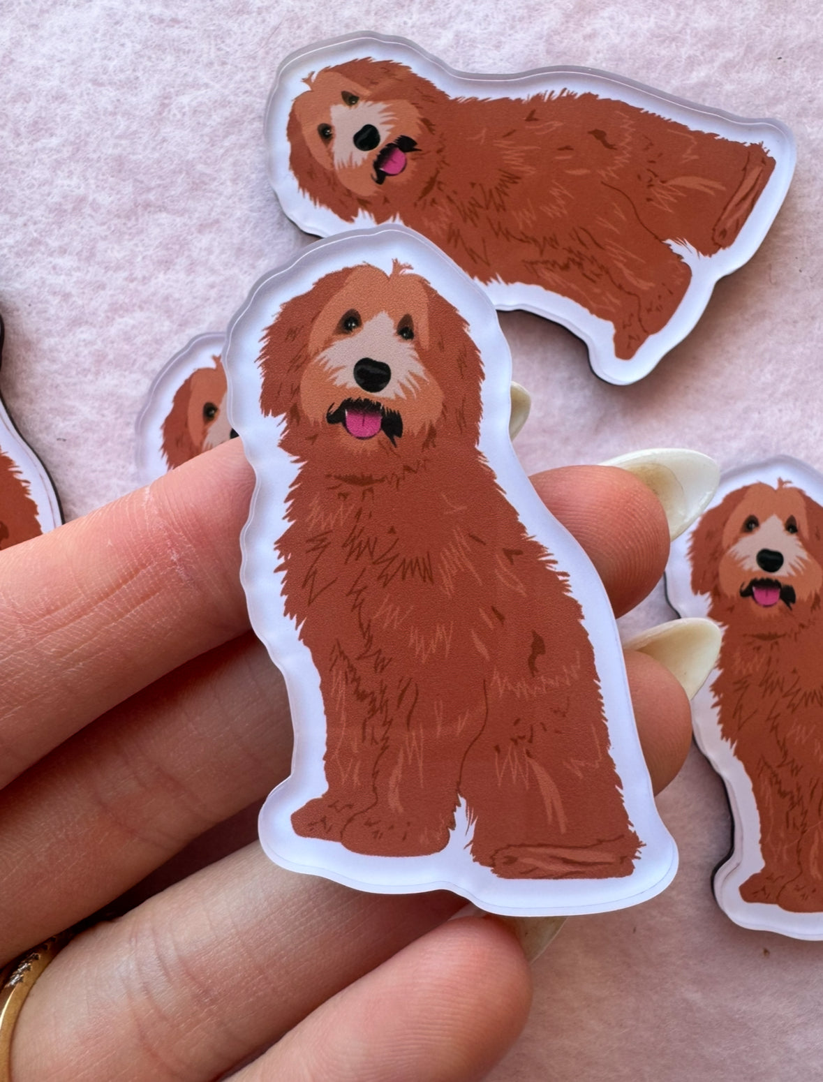 Goldendoodle, Labradoodle (red) Magnet