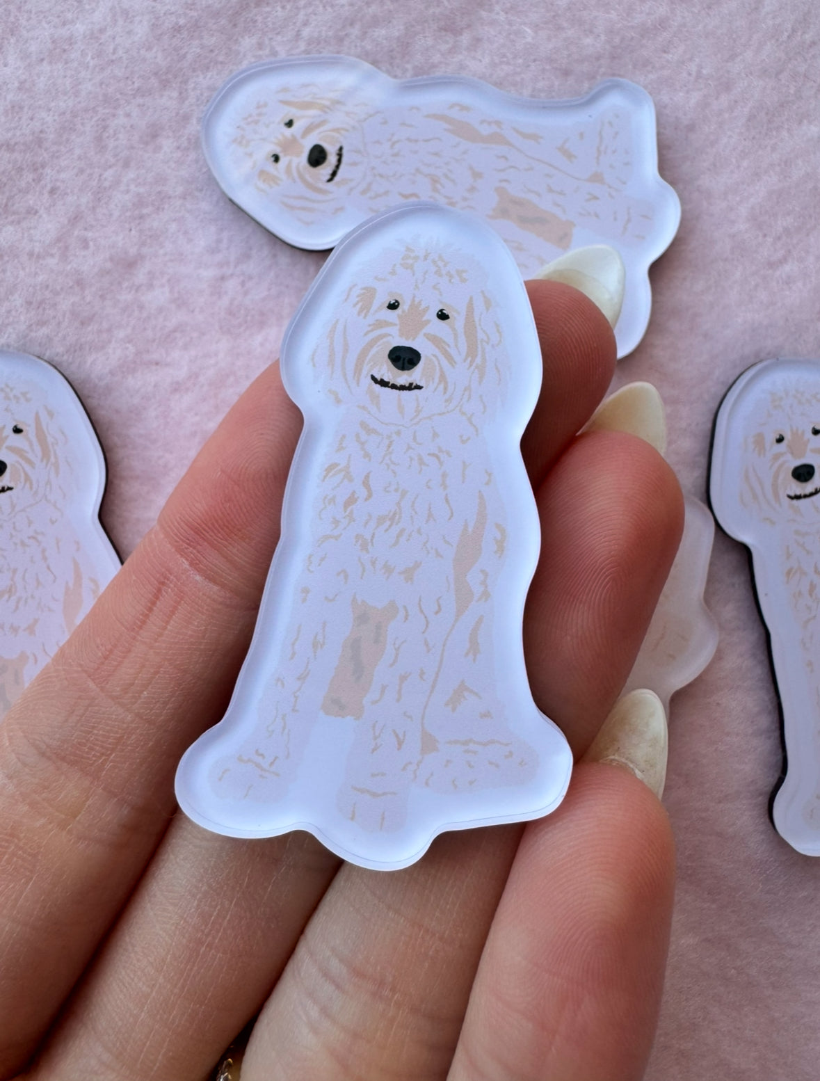 Goldendoodle (white), Labradoodle (white) Magnet