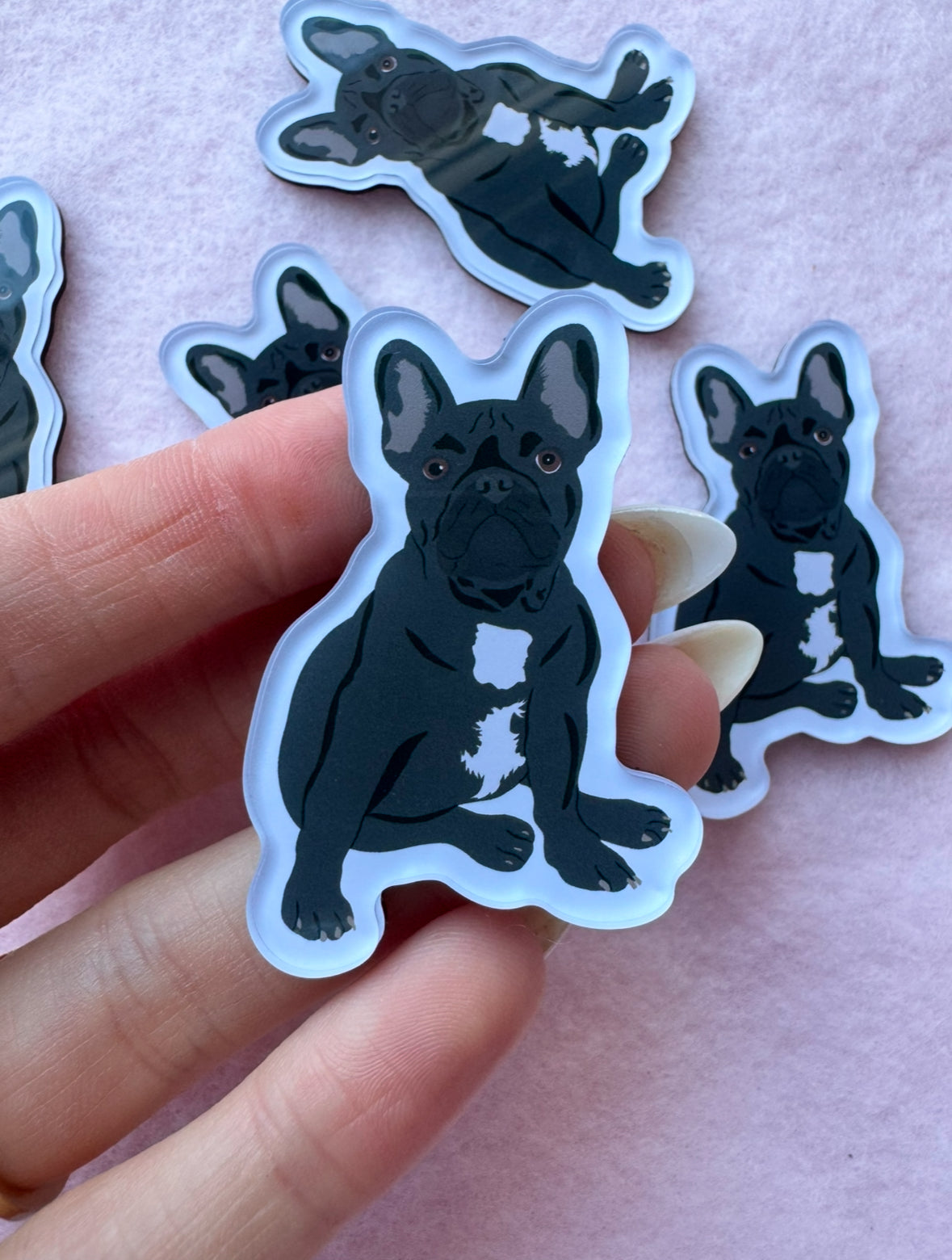 Frenchie (black) Magnet