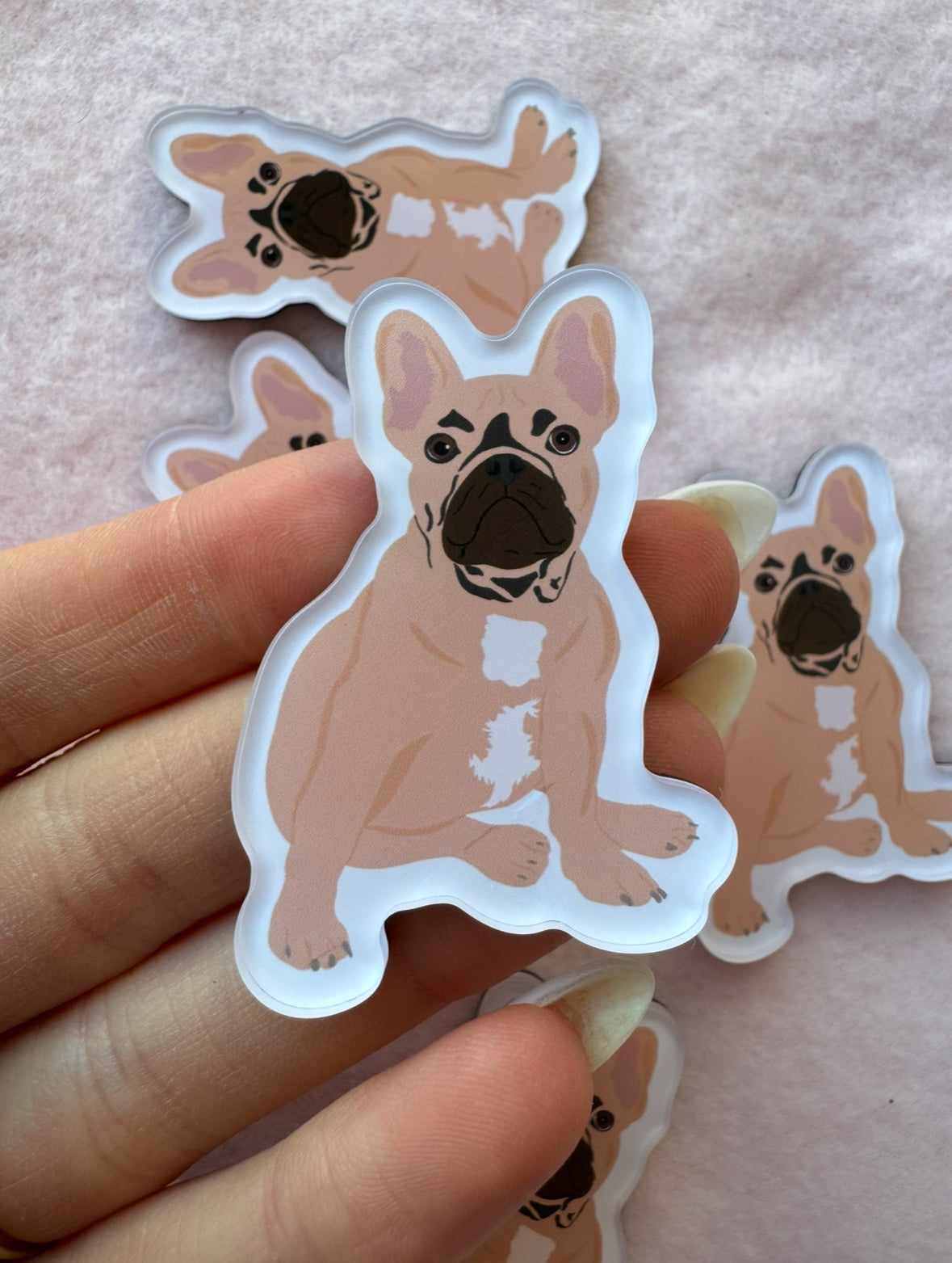 Frenchie (fawn) Magnet