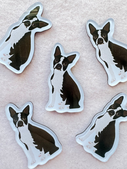 Boston Terrier (black & white) Magnet