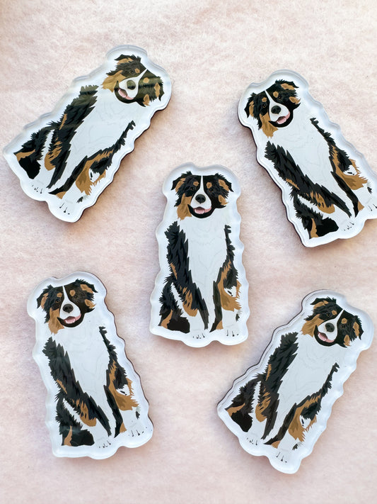 Australian Shepherd (black-tri) Magnet