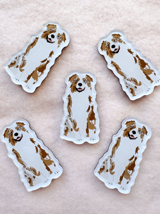 Australian Shepherd (red merle) Magnet