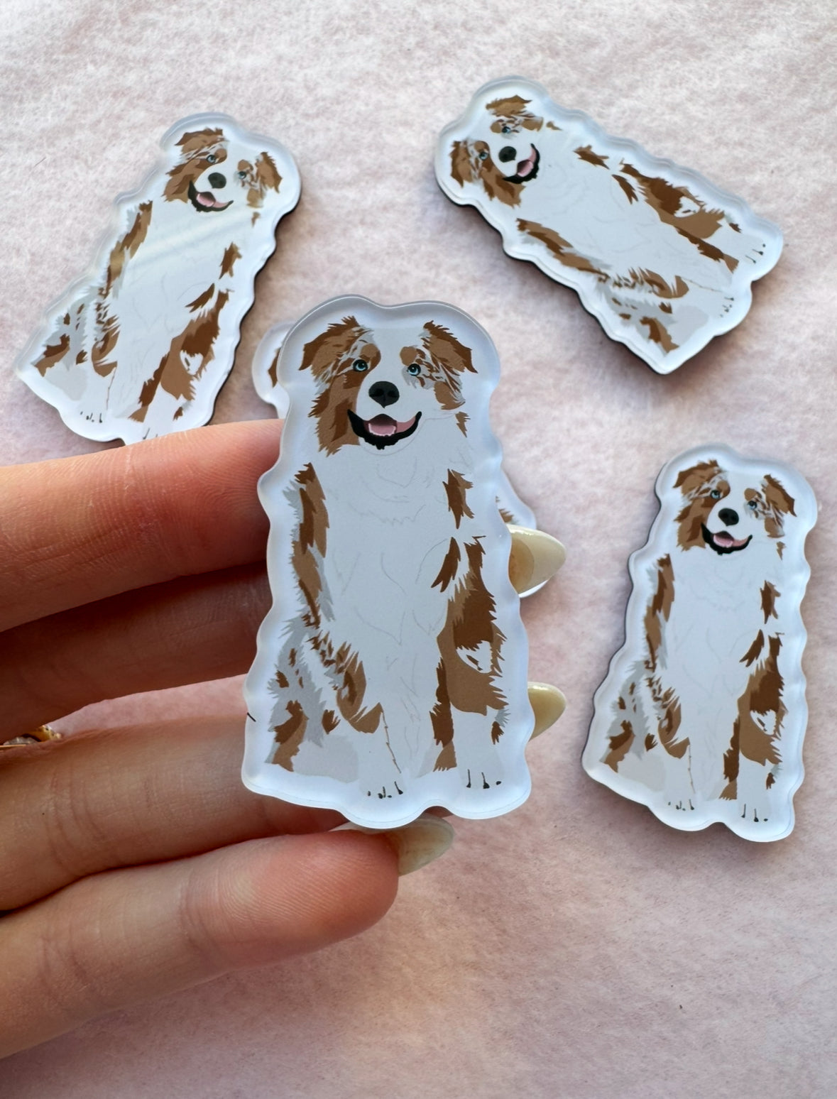 Australian Shepherd (red merle) Magnet