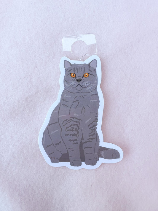 British Shorthair Sticker