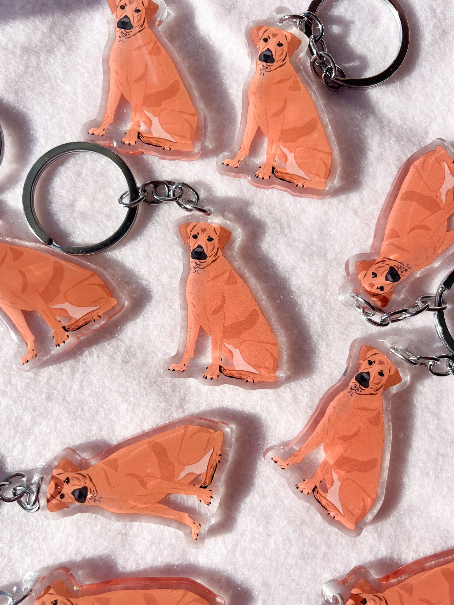 Mountain Cur, Rhodesian Ridgeback Keychain