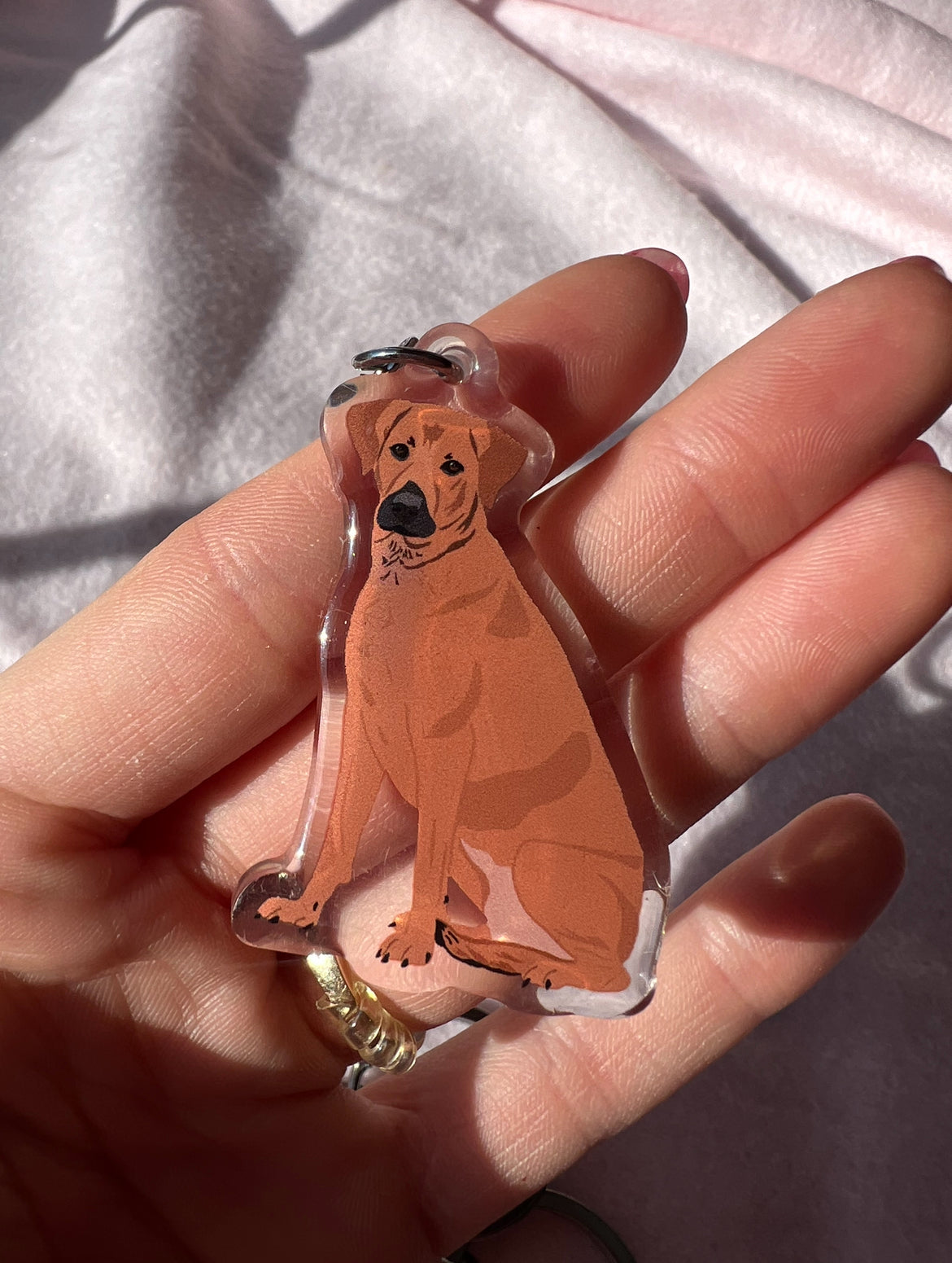 Mountain Cur, Rhodesian Ridgeback Keychain