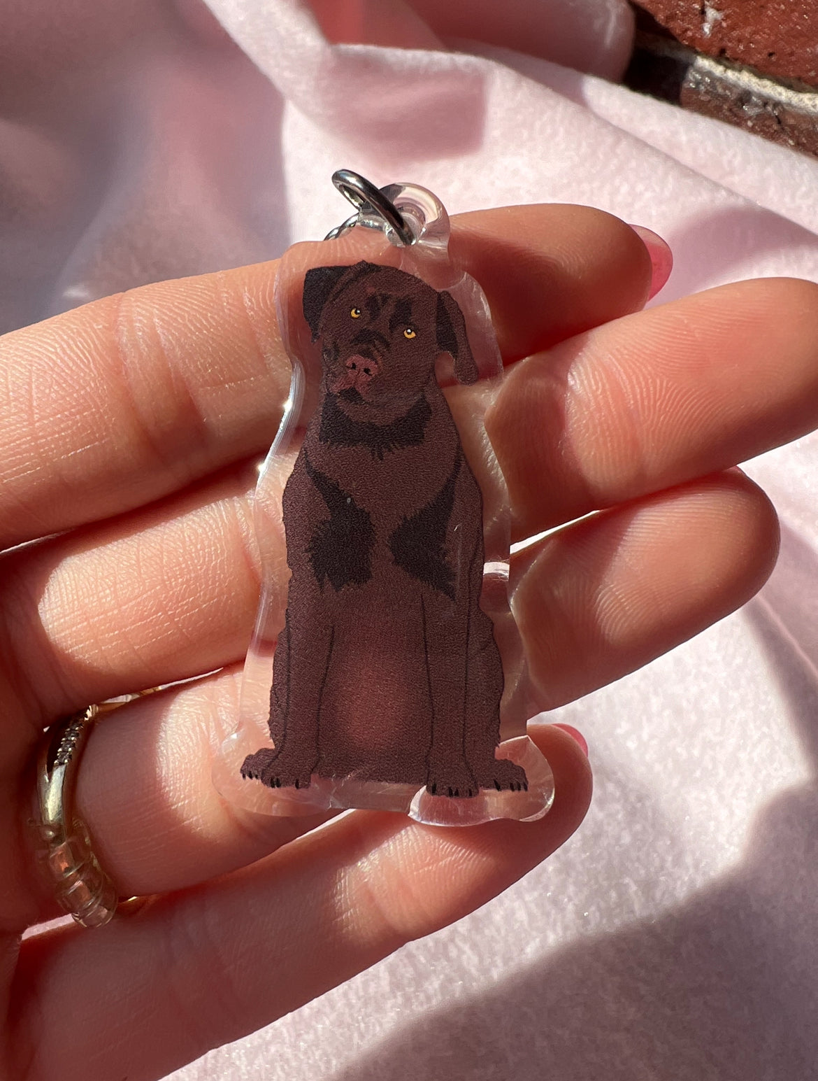 Labrador Retriever (chocolate) Keychain