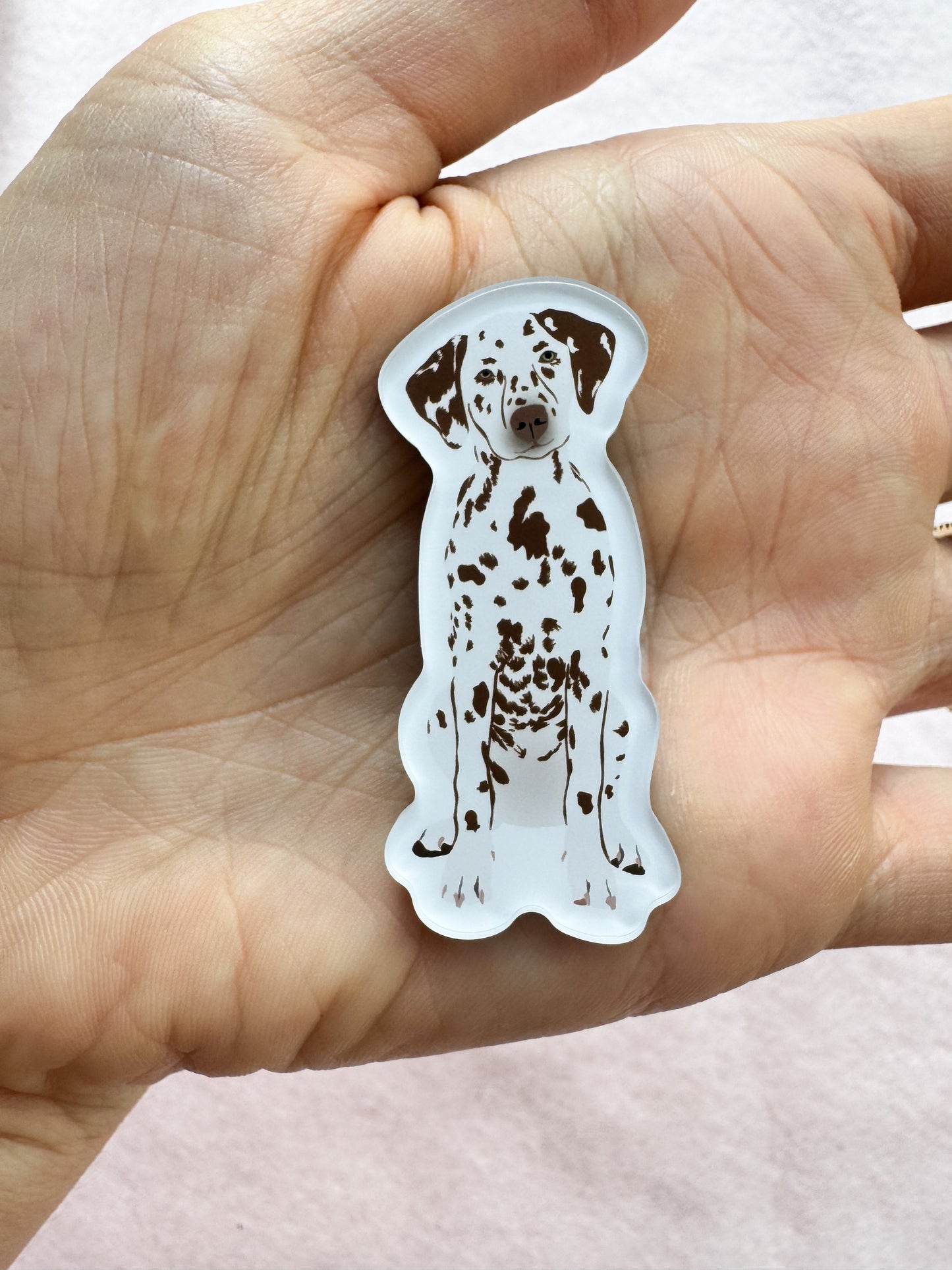 Dalmatian (liver) Magnet