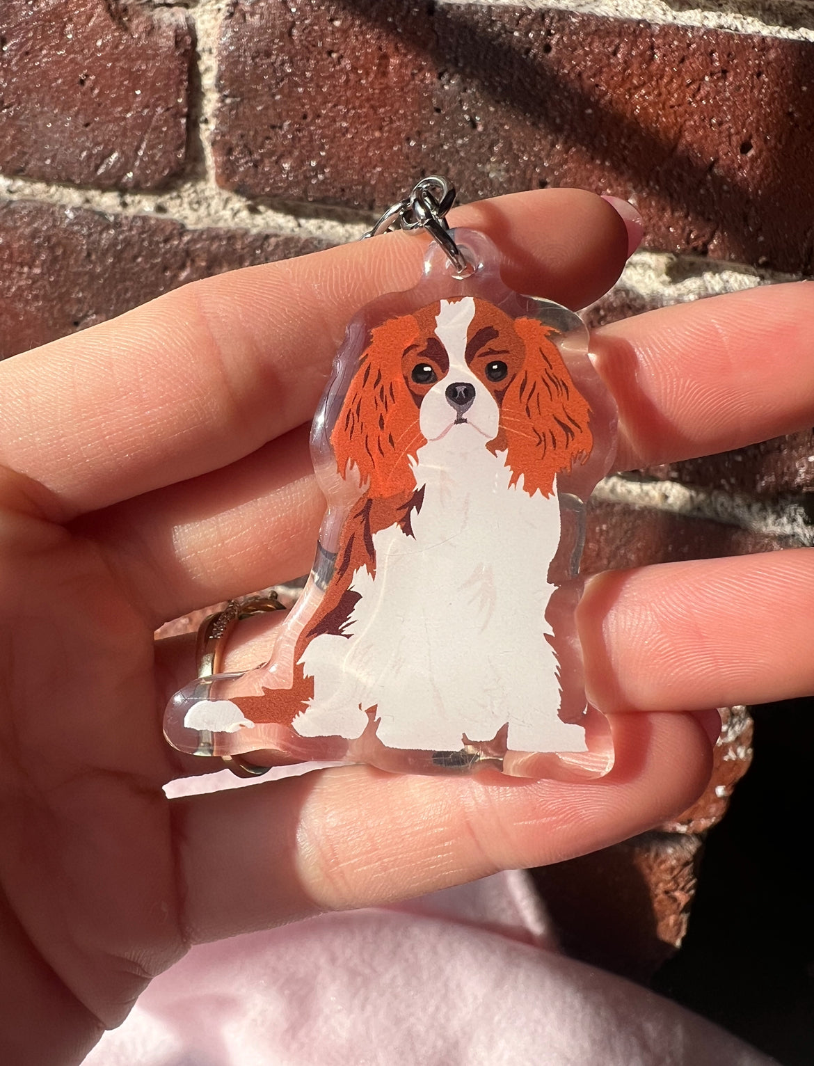 Cavalier King Charles Spaniel (red and white) Keychain