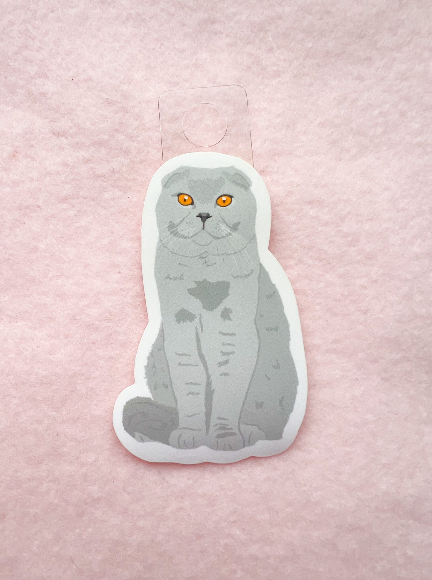 Scottish Fold Sticker