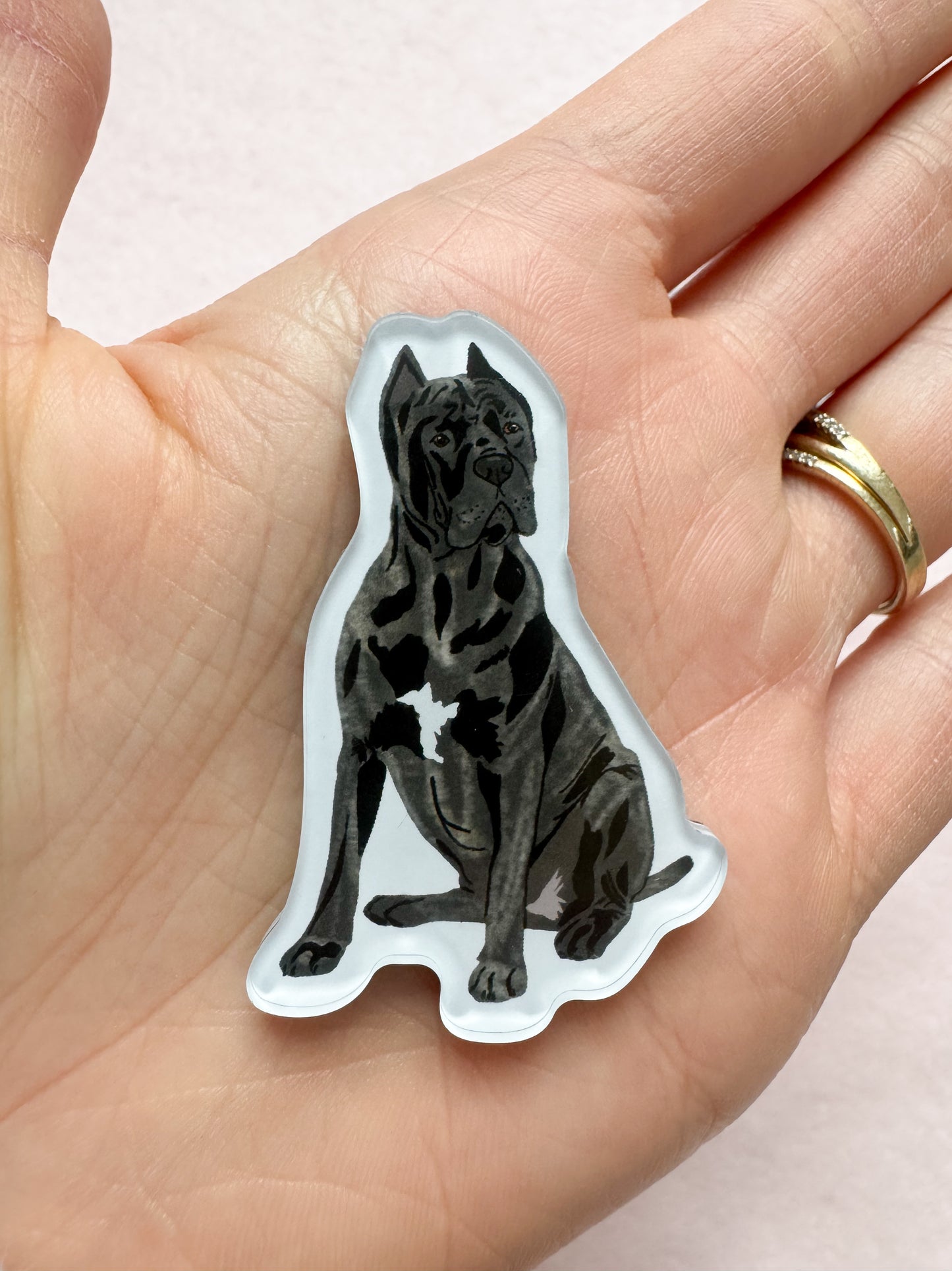 Cane Corso (brindle, cropped ears), Italian Mastiff Magnet