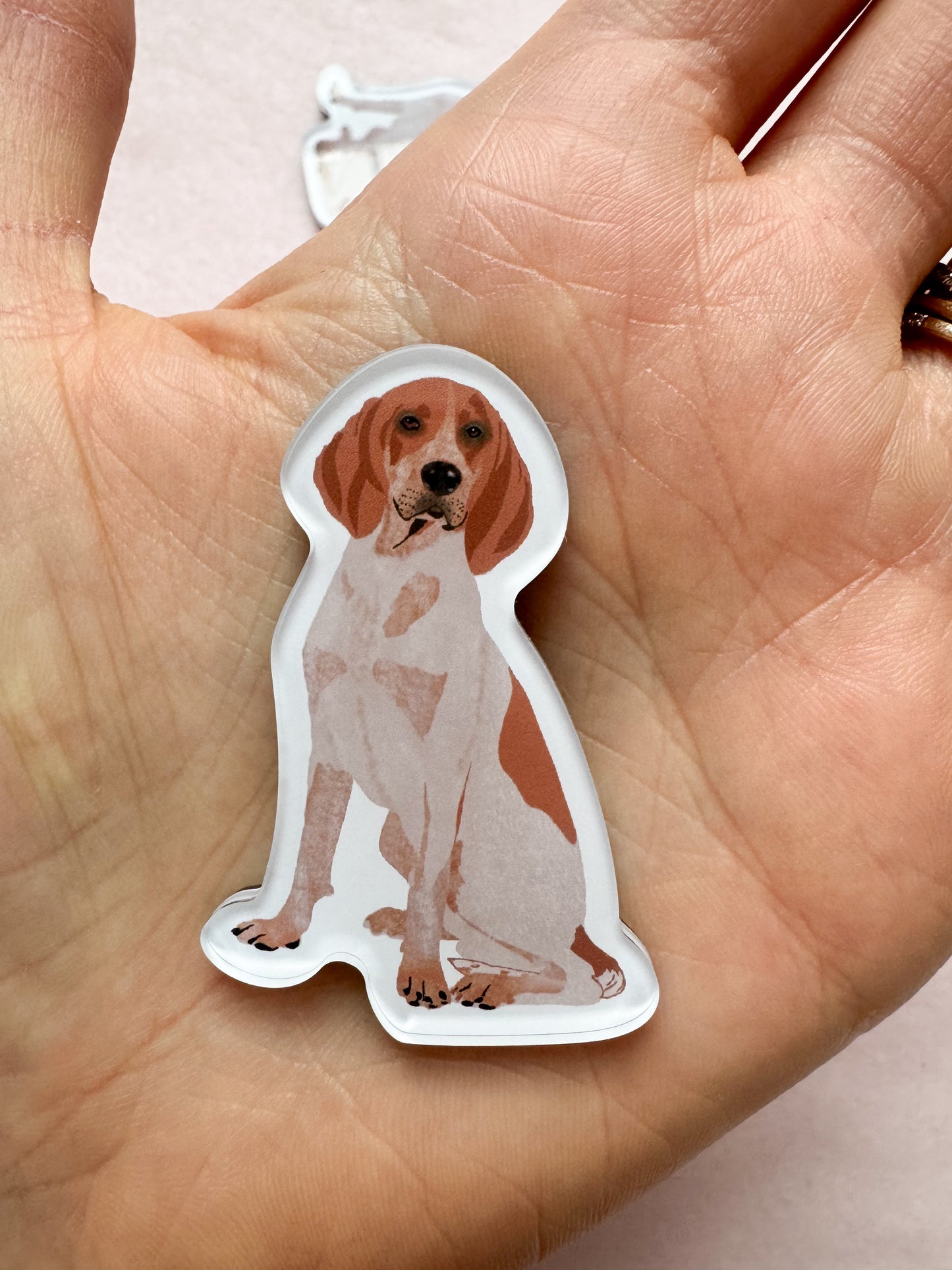 Redtick Coonhound Magnet