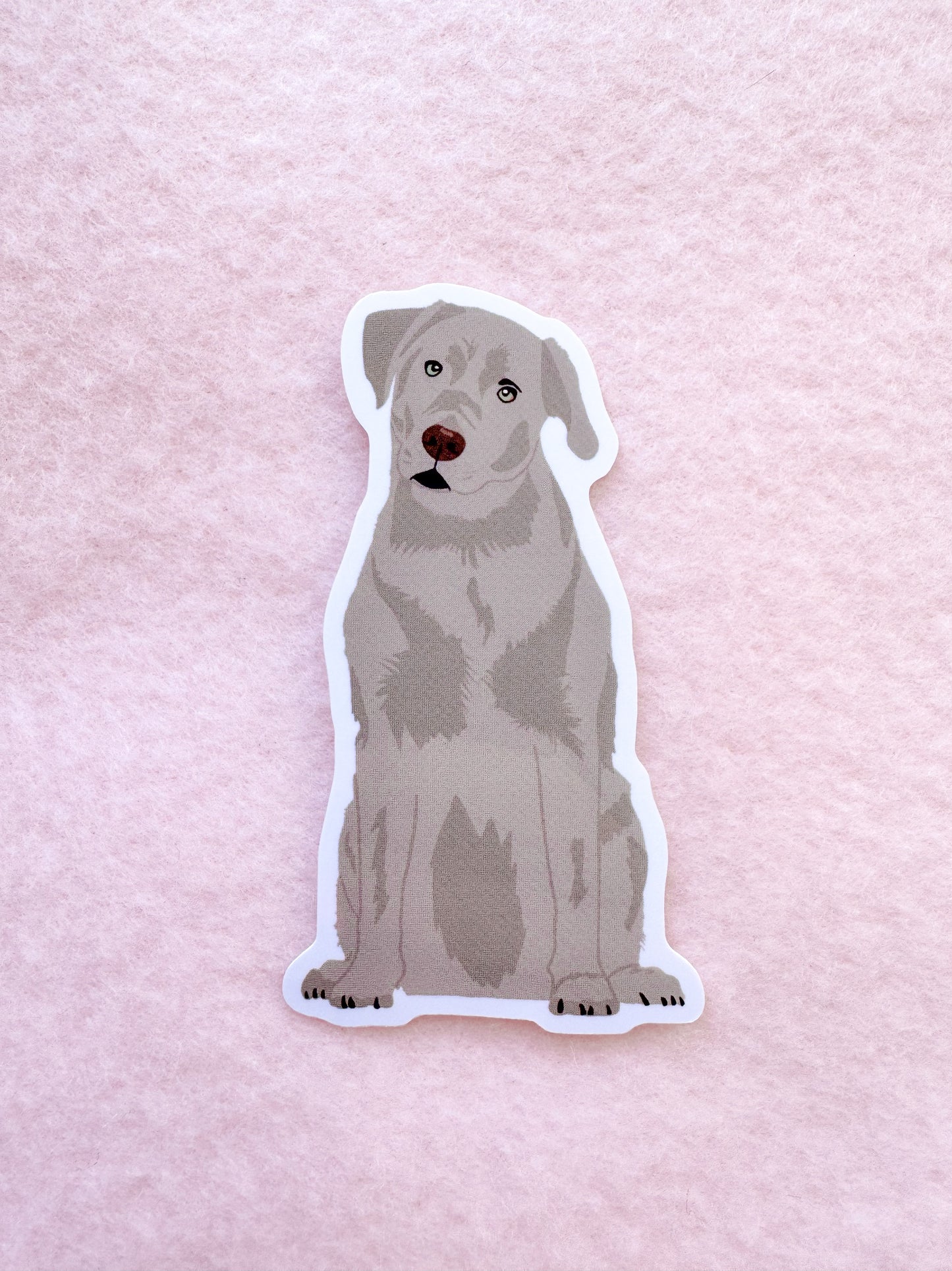 Labrador Retriever (silver), Blue Lacy Sticker