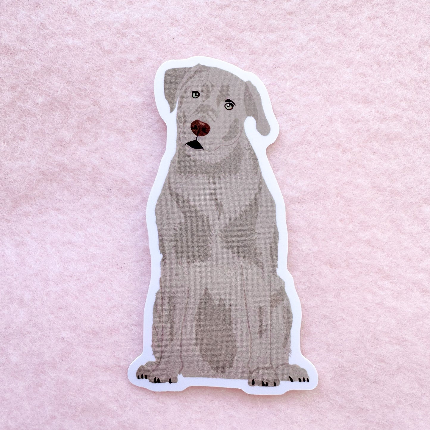 Labrador Retriever (silver), Blue Lacy Sticker