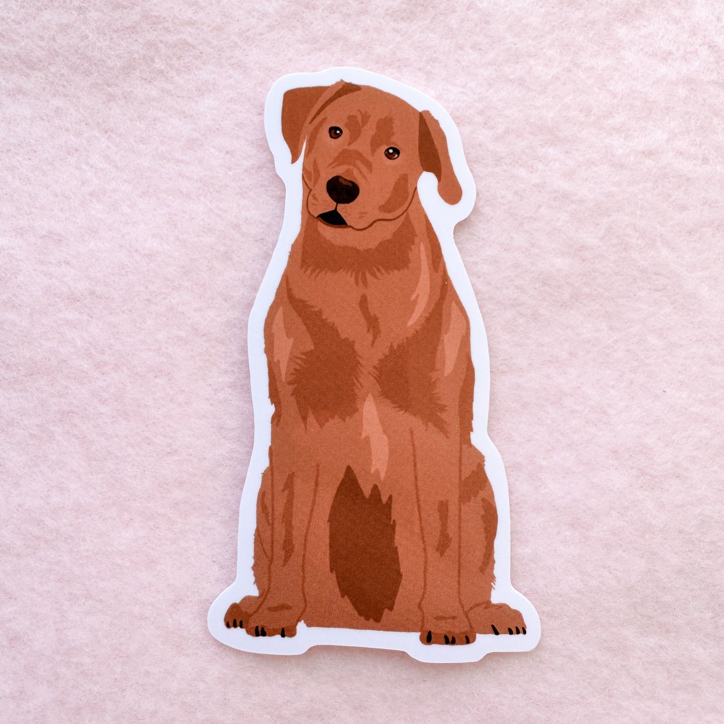 Labrador Retriever (red fox) Sticker