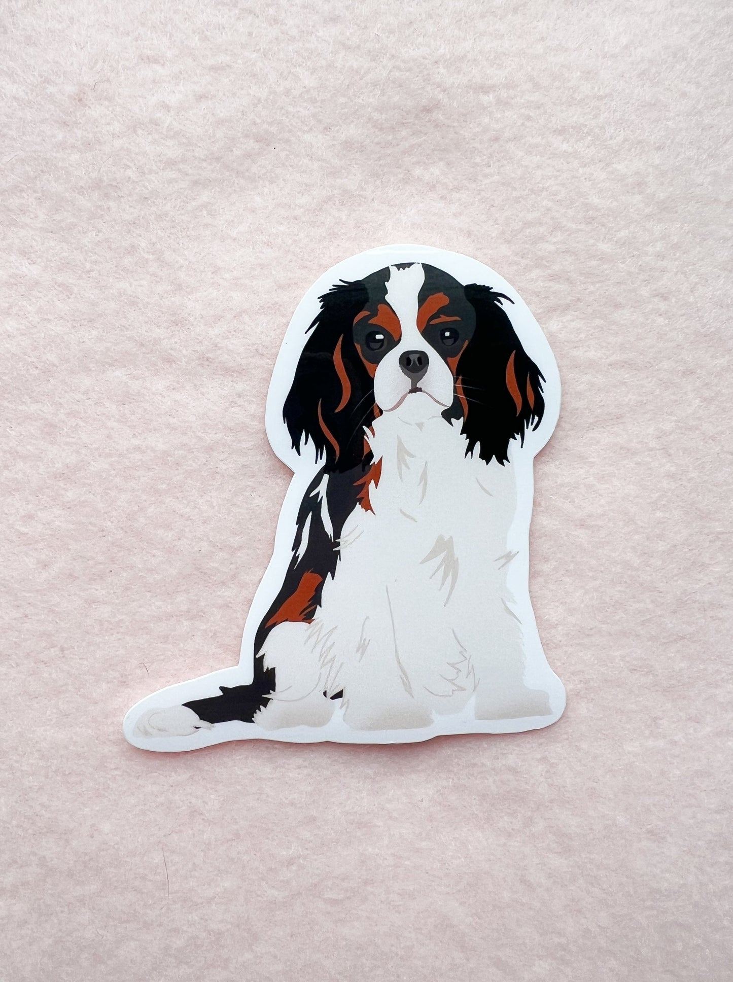 Cavalier King Charles Spaniel (tricolor) Sticker