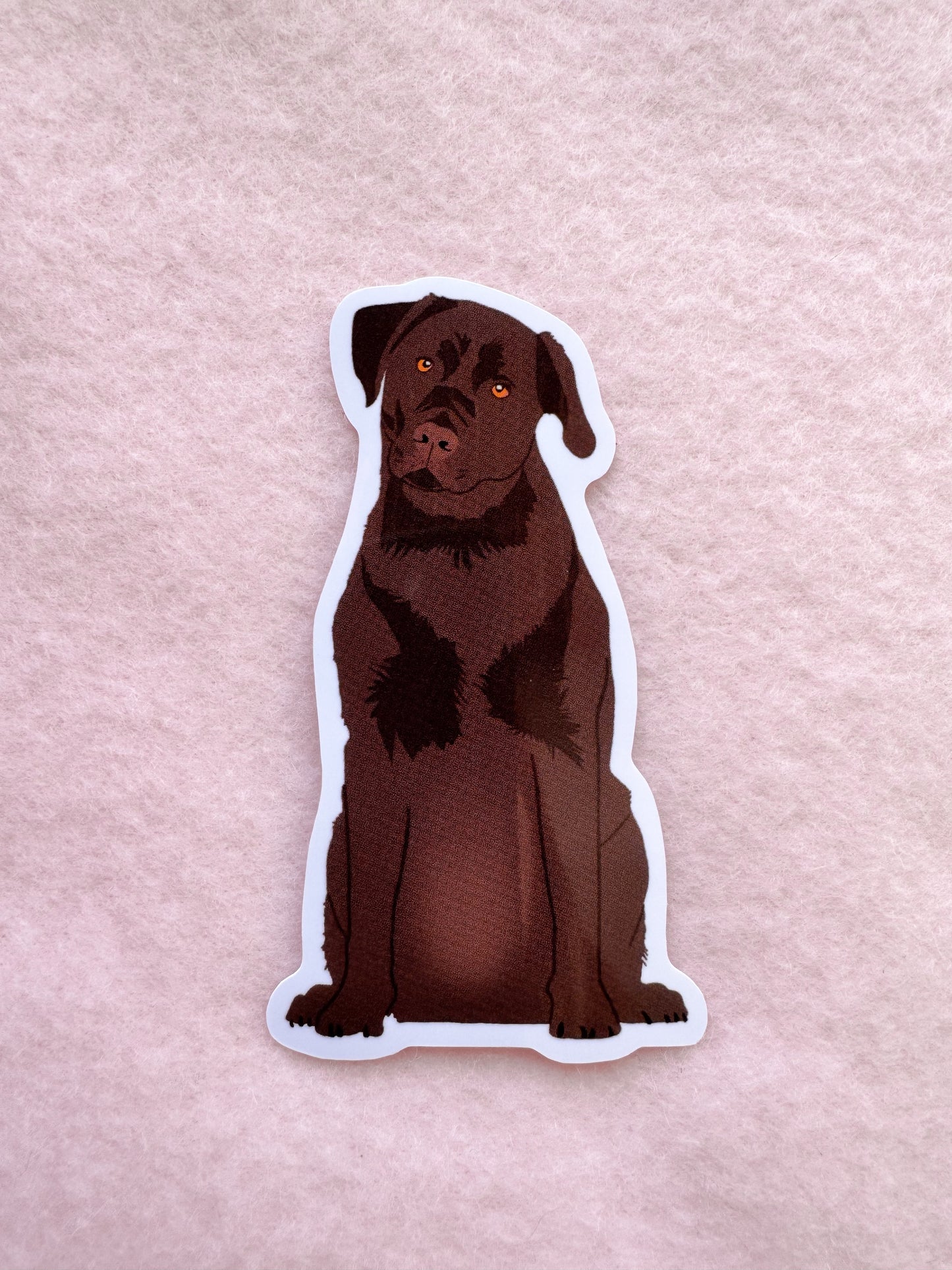 Labrador Retriever (chocolate) Sticker