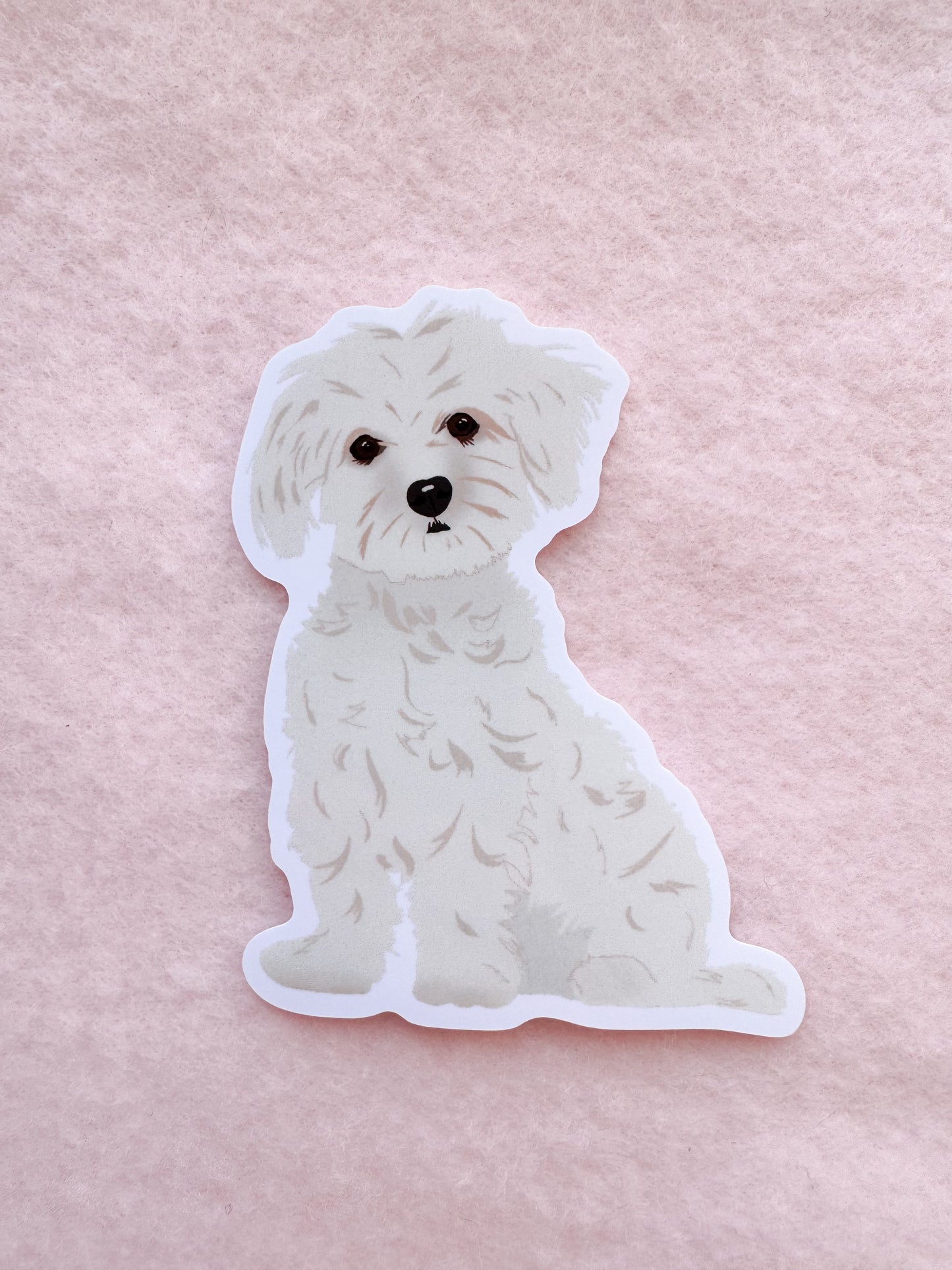 Maltese, Coton de Tulear Sticker