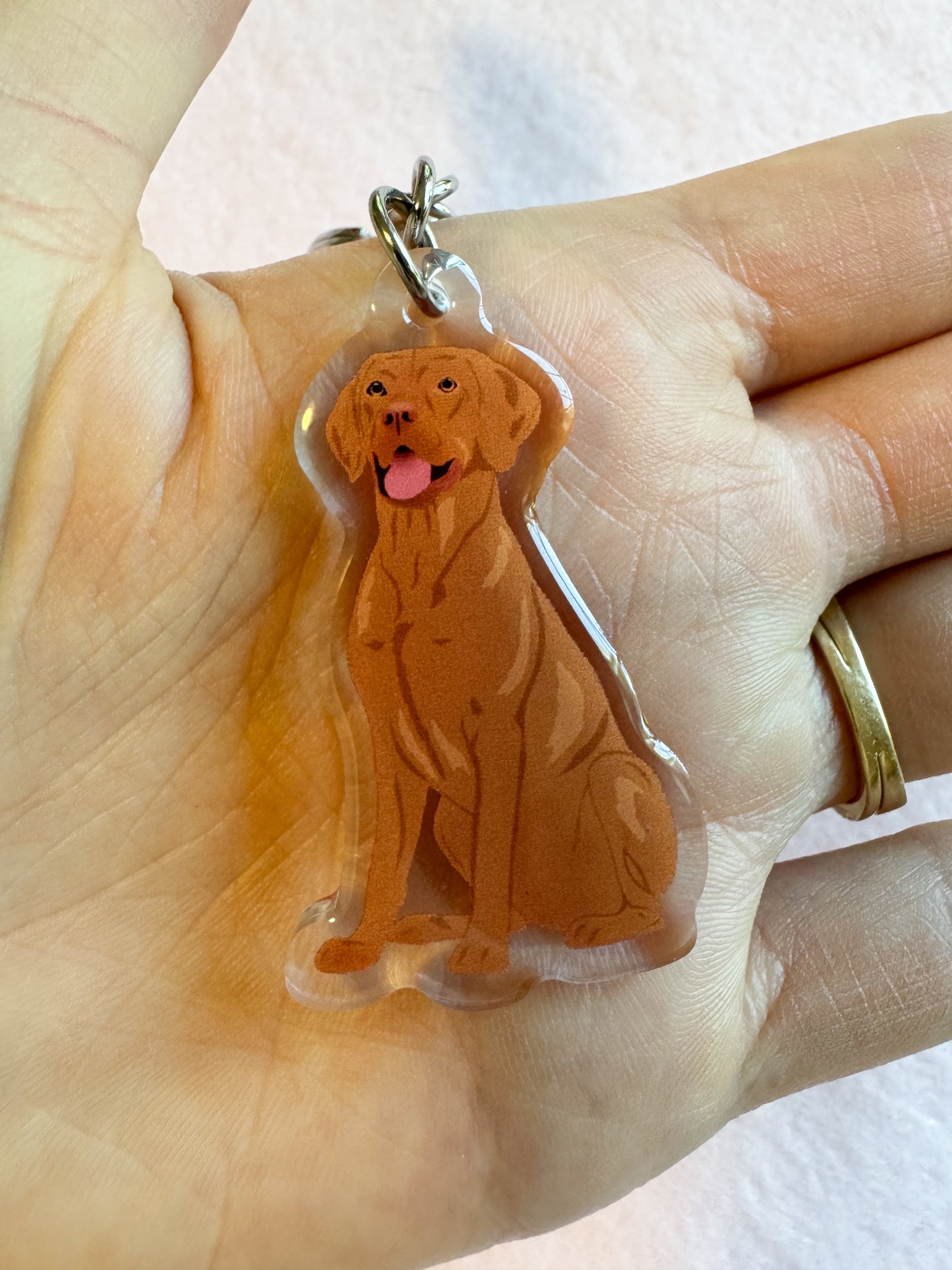 Vizsla, Redbone Coonhound Keychain