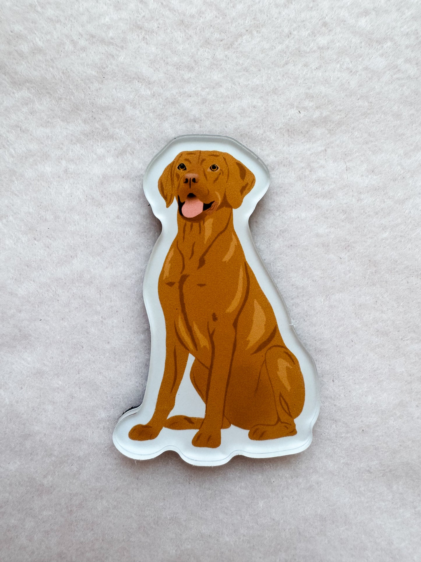 Vizsla Magnet