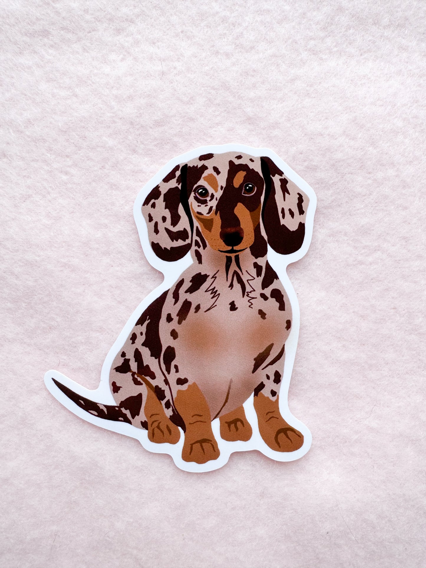 Dachshund (dapple) Sticker