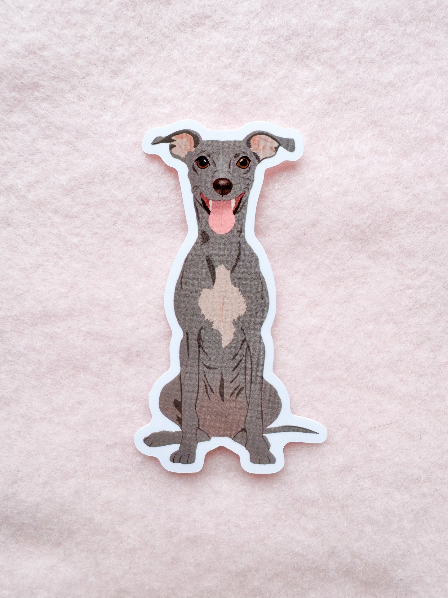 Italian Greyhound, Whippet Sticker