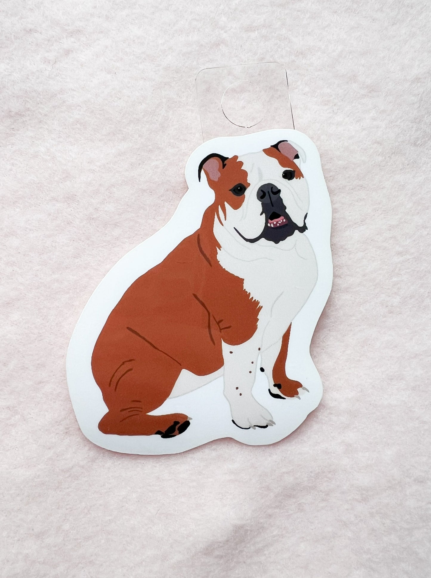 English Bulldog (red & white) Sticker