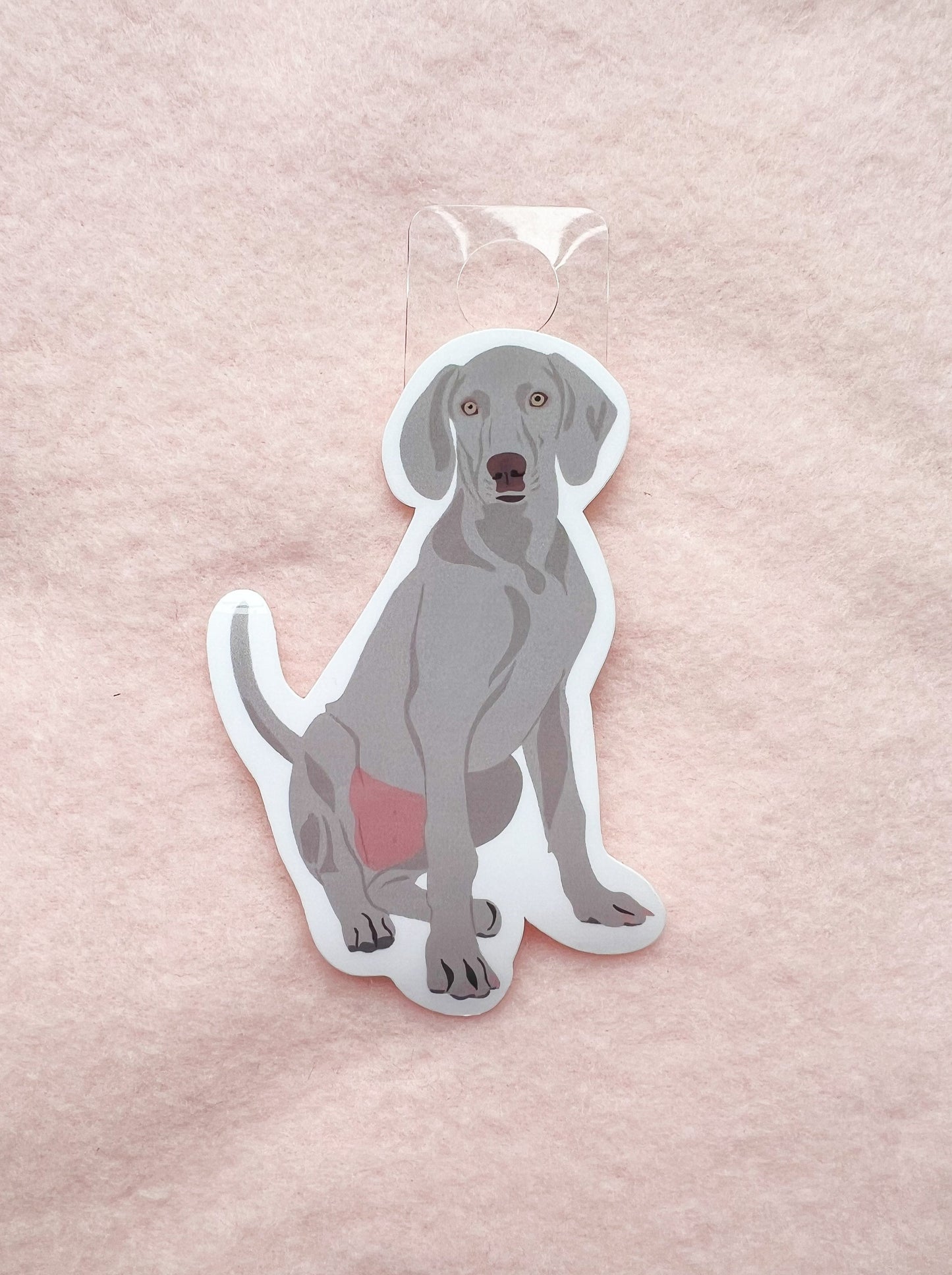 Weimaraner Sticker