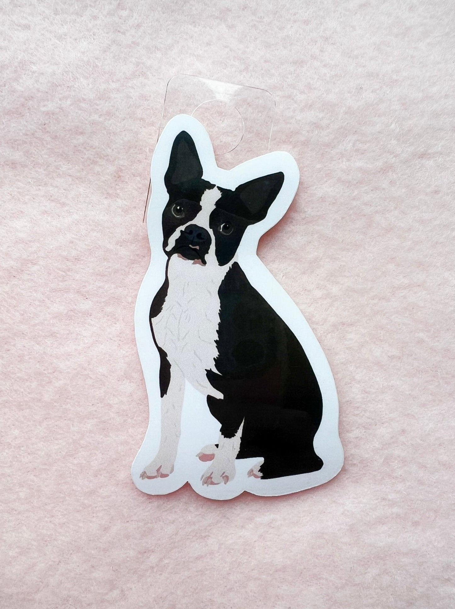 Boston Terrier (black & white) Sticker